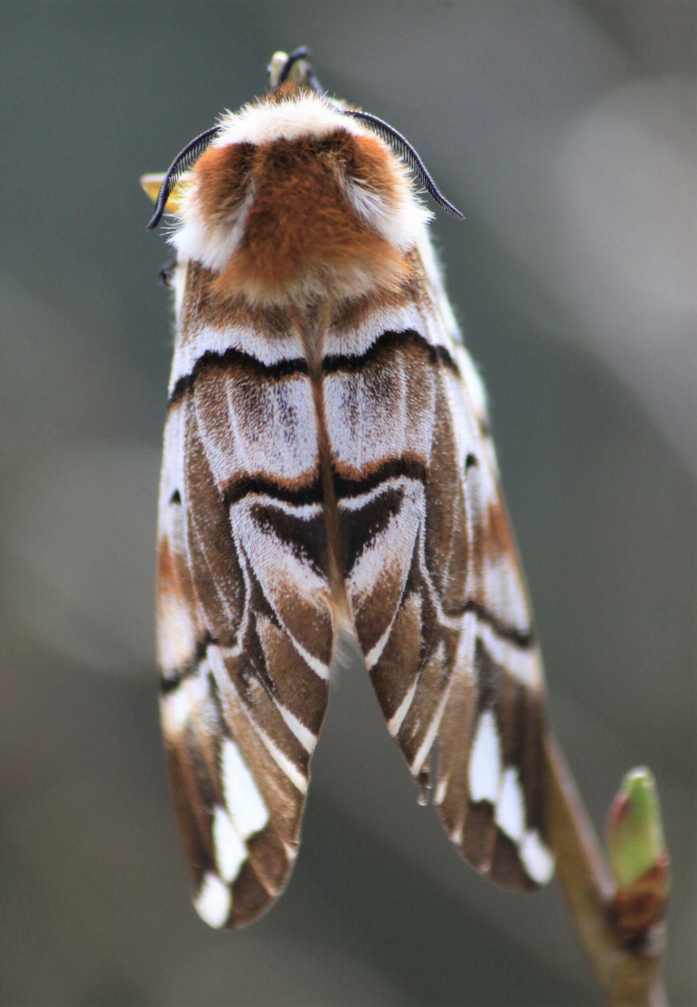 Valokuvaaja: Kaarina Heiskanen Valokuvaaja: Kaarina Heiskanen
