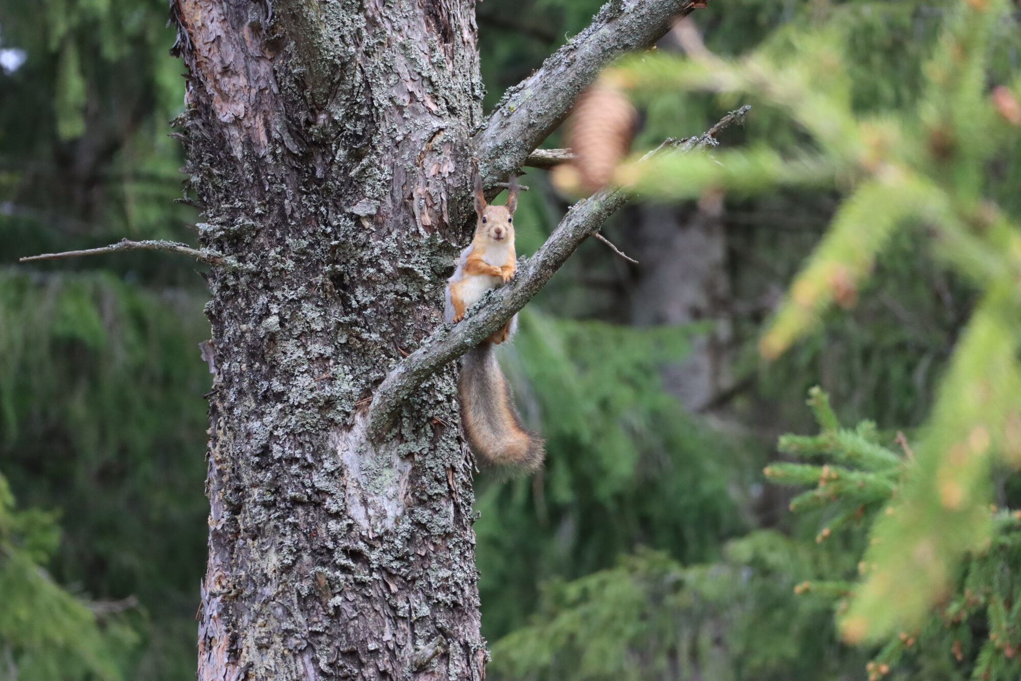 Valokuvaaja: Tiia Nieminen