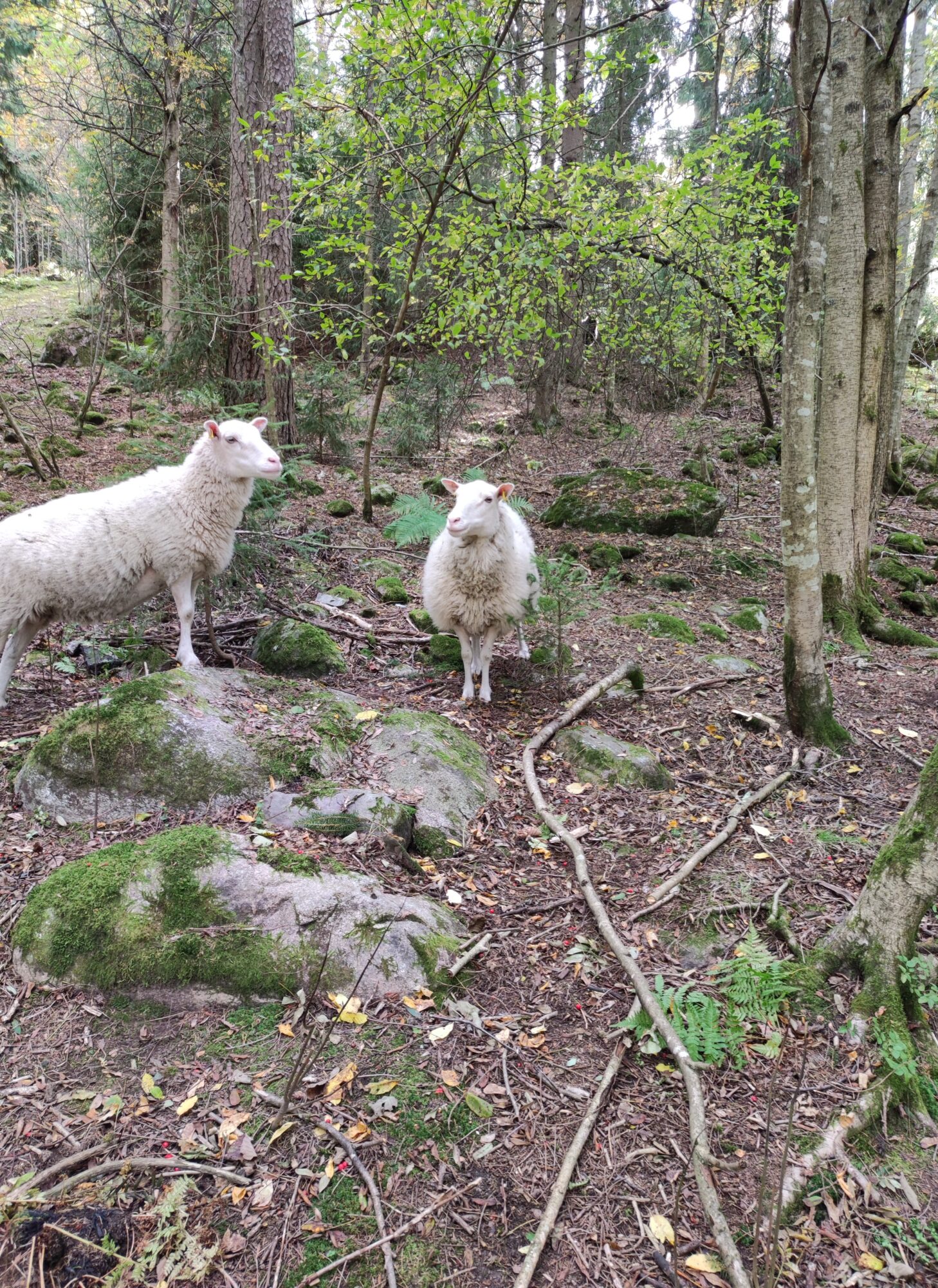 Valokuvaaja: Pilvi Leinonen