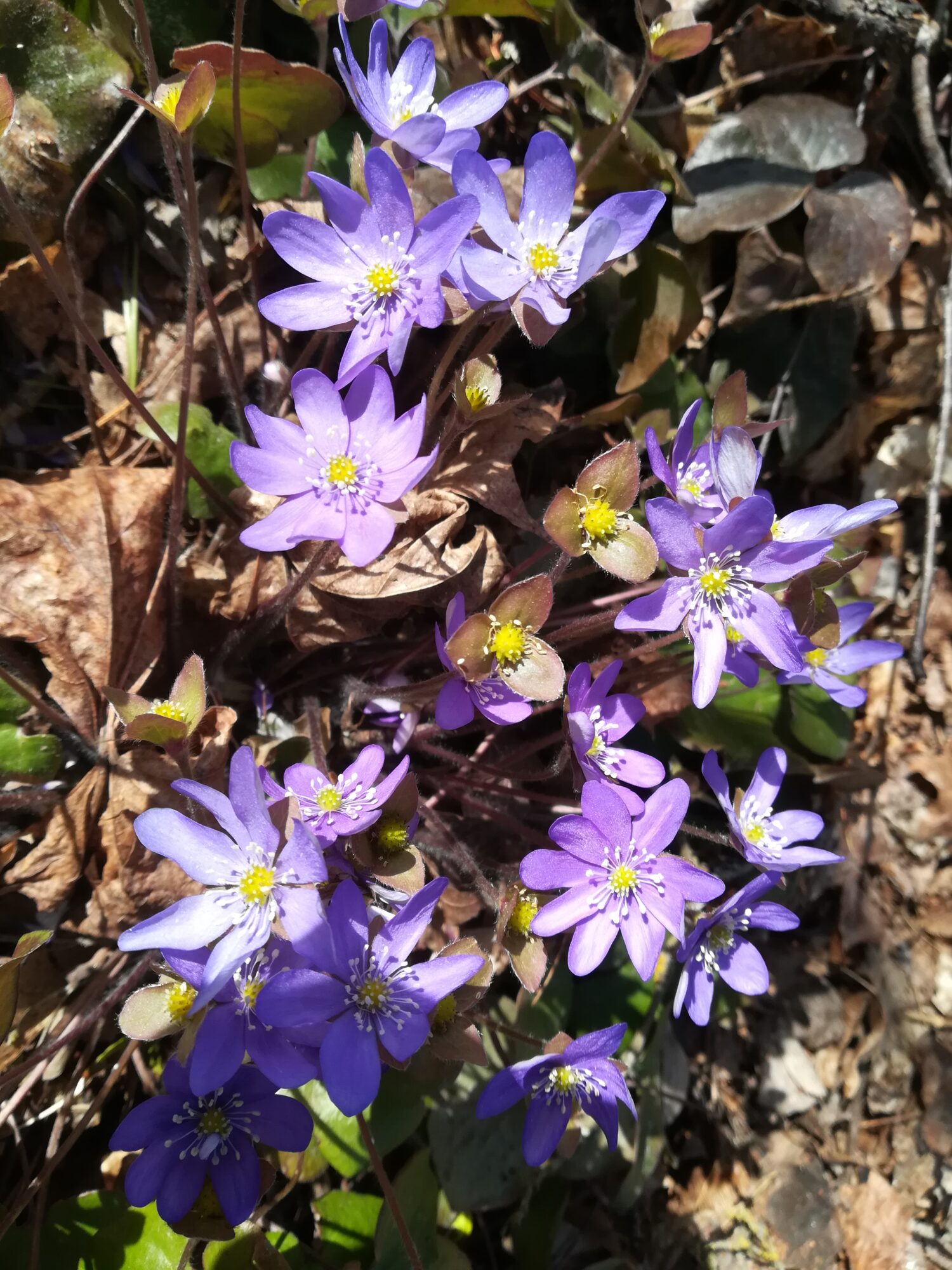 Valokuvaaja: Irja Lehtinen