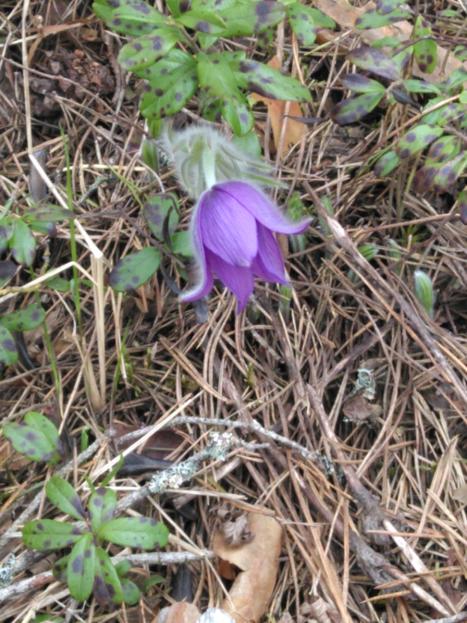 Valokuvaaja: Juha Sarkkinen