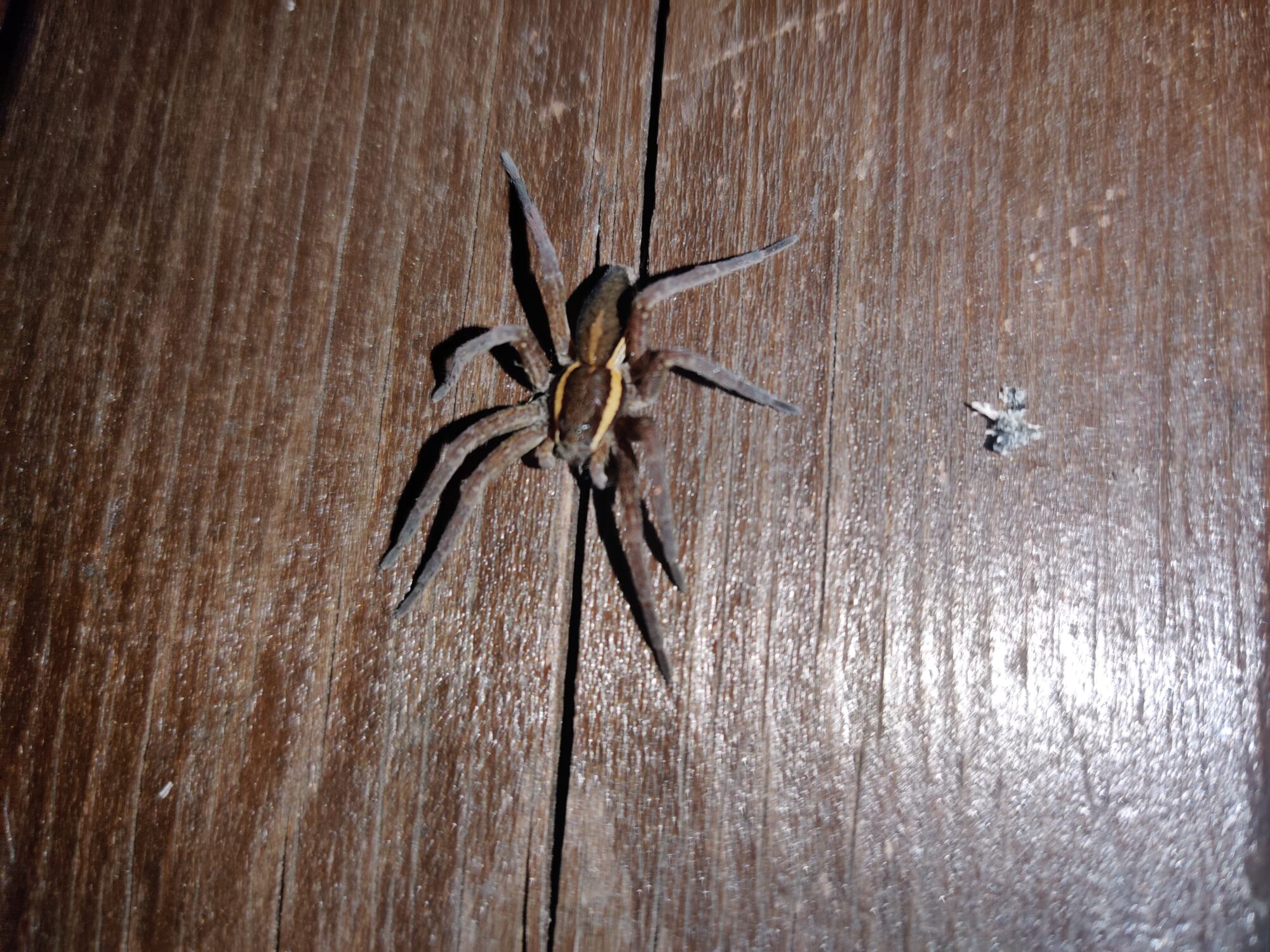 Valokuvaaja: Aleksi Juvela