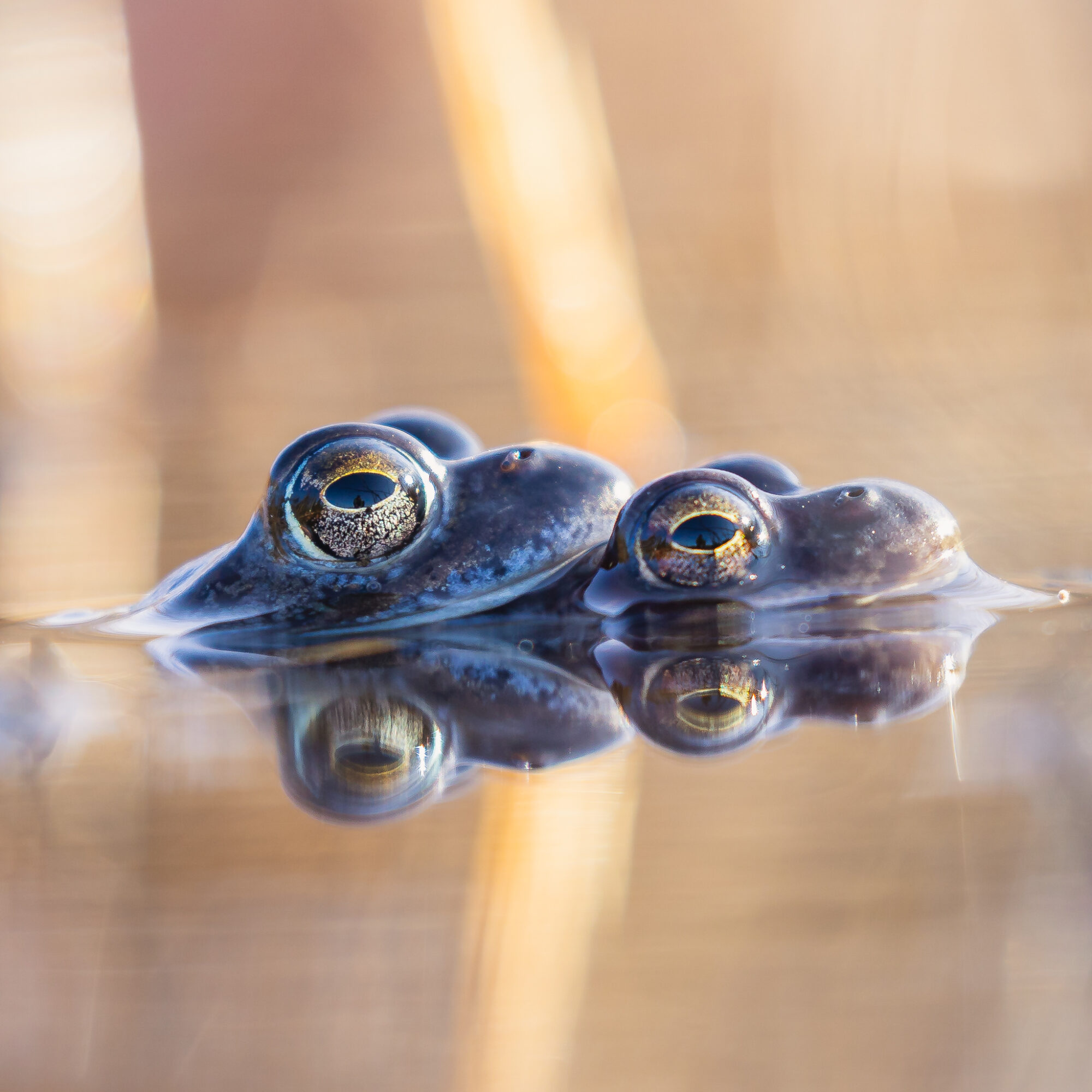 Valokuvaaja: Mikko Kallio