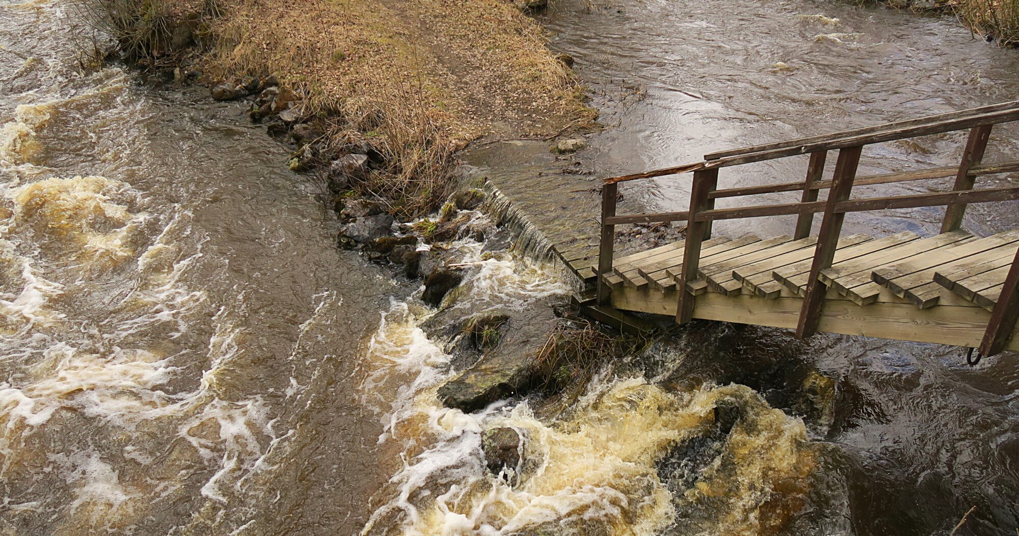 Valokuvaaja: Kati Westerlund