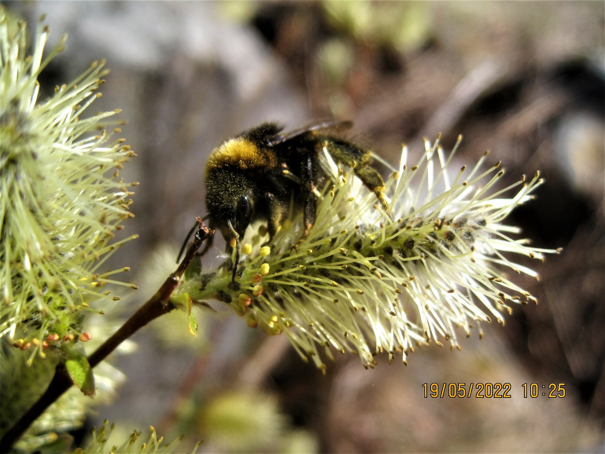 Valokuvaaja: Kalle  Matti Väänänen