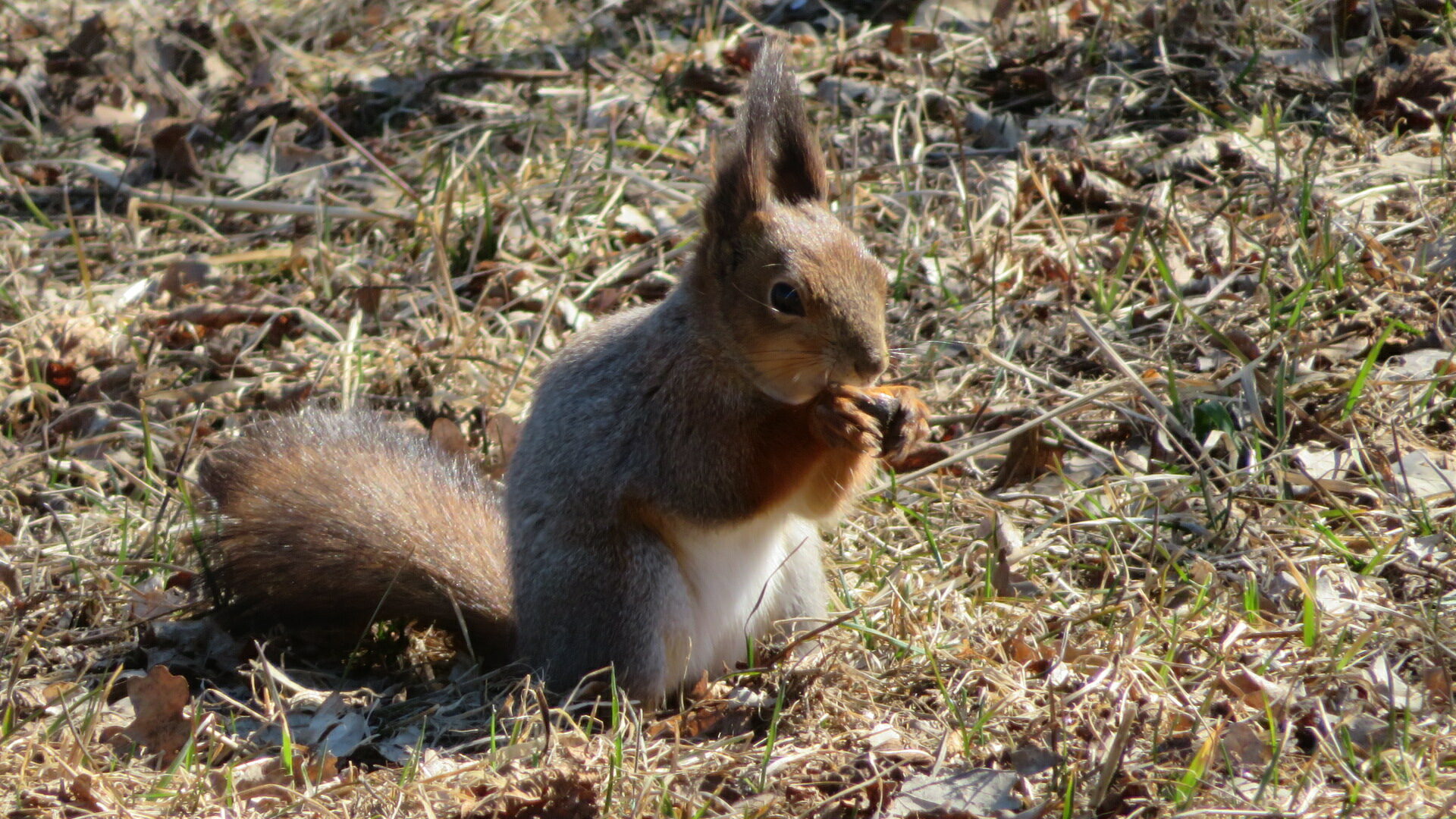 Valokuvaaja: Risto Kangassalo Valokuvaaja: Risto Kangassalo