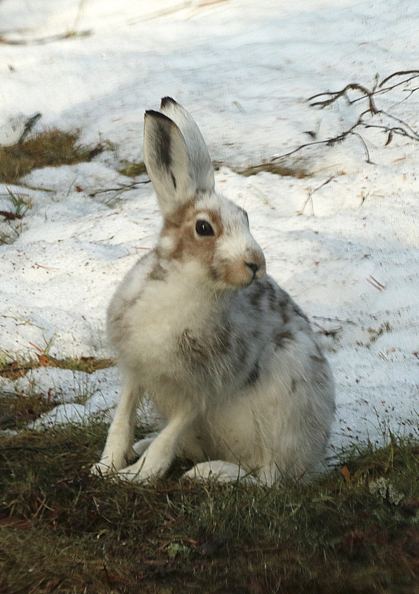 Valokuvaaja: Hannu Rasiranta