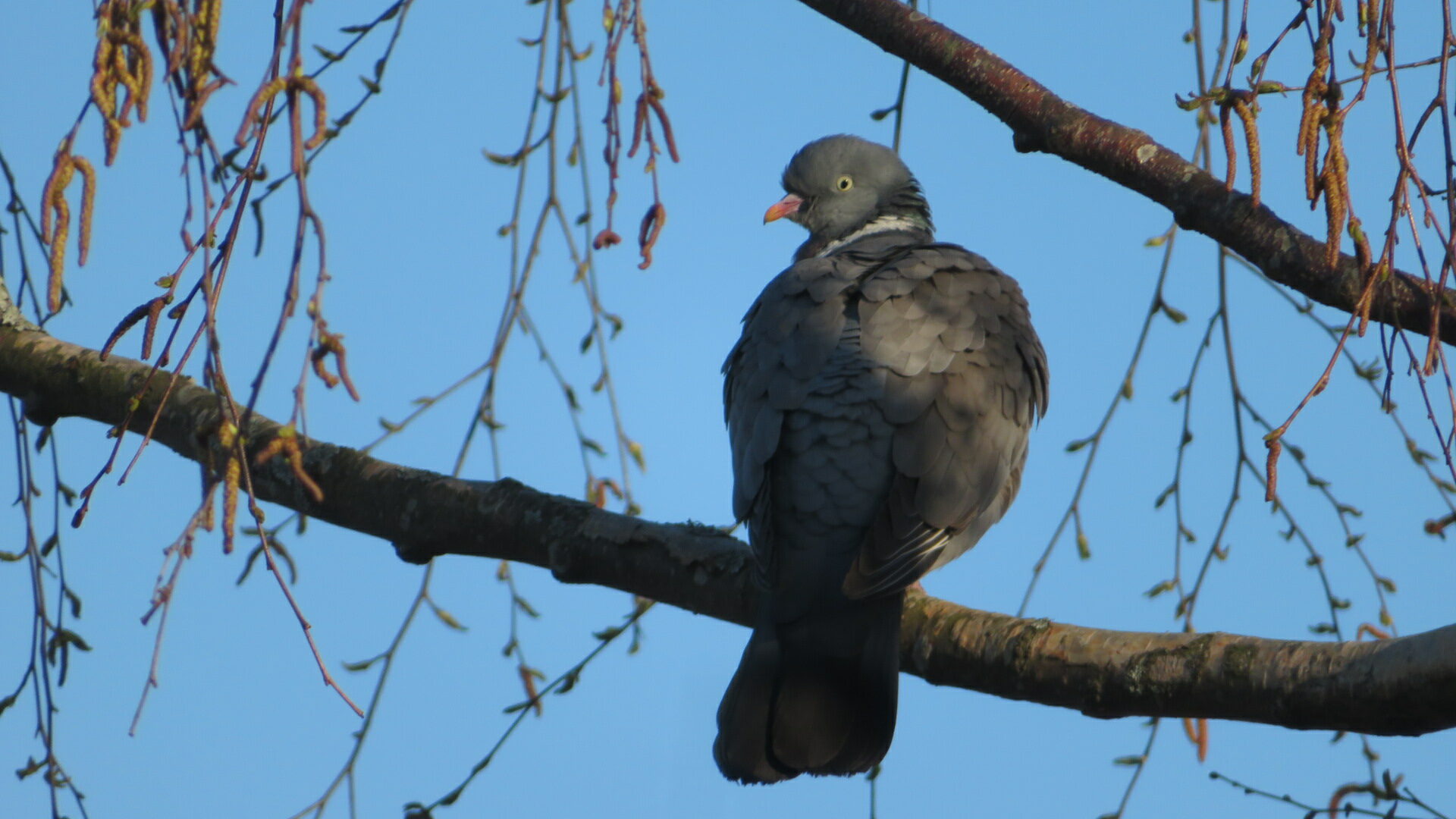 Valokuvaaja: Risto Kangassalo