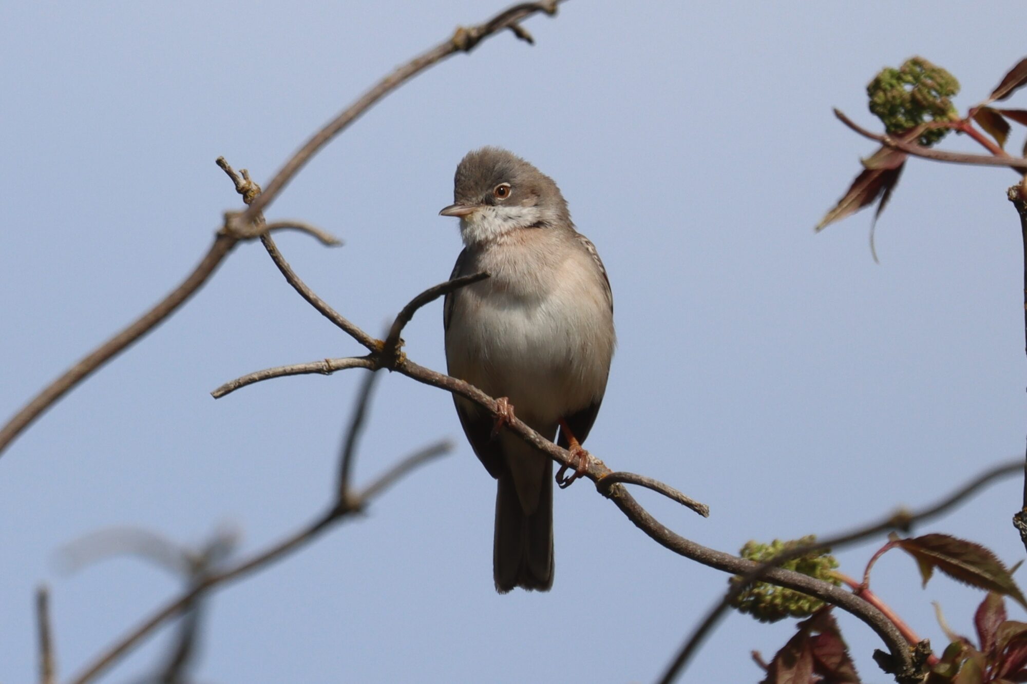 Valokuvaaja: Susanna Hannula