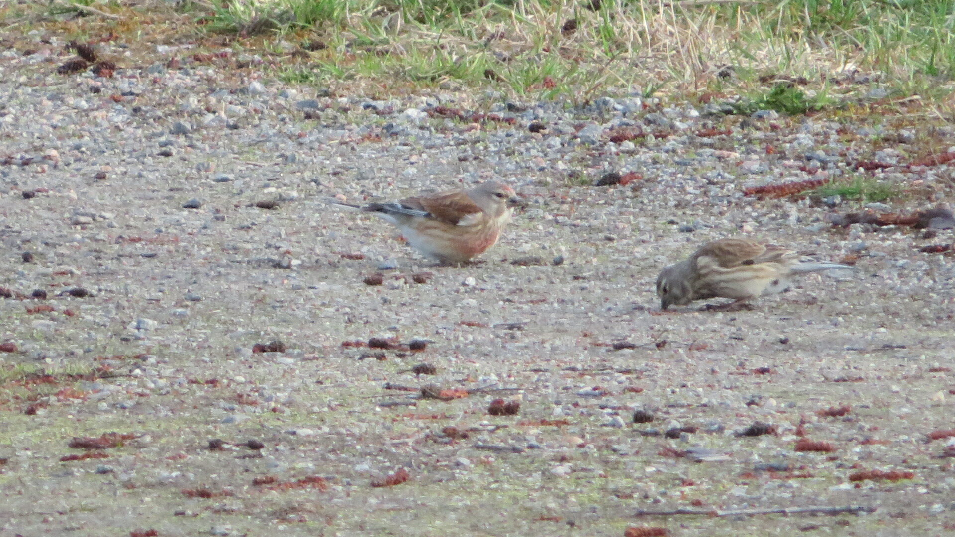 Valokuvaaja: Risto Kangassalo