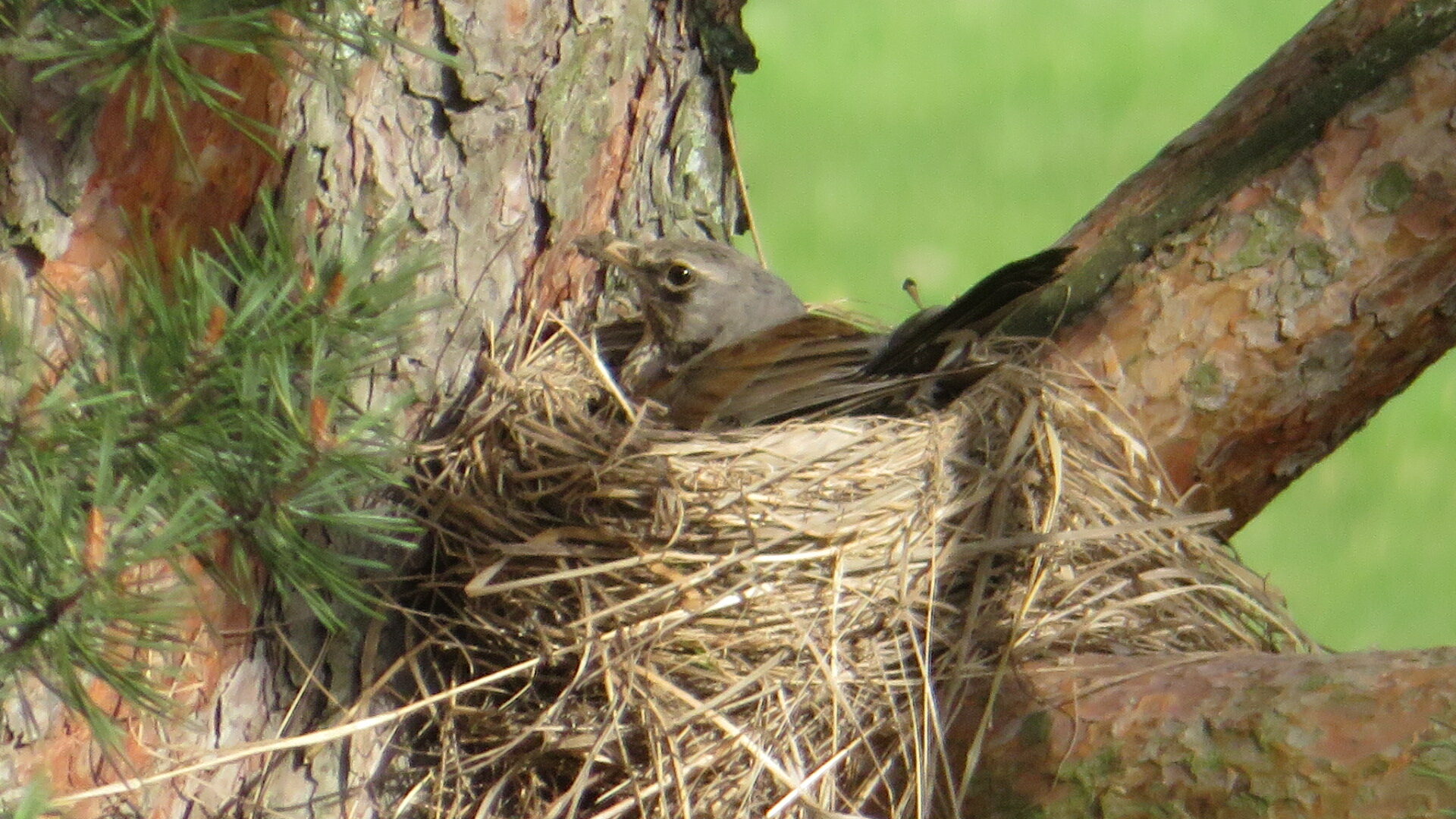 Valokuvaaja: Risto Kangassalo