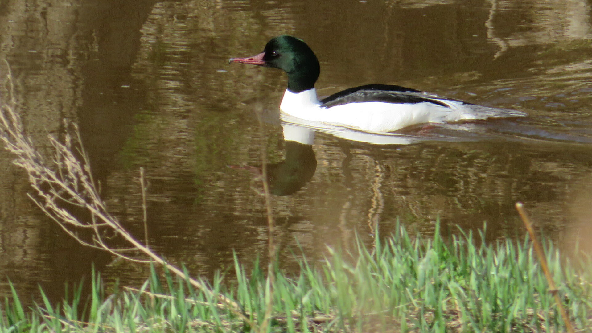Valokuvaaja: Risto Kangassalo