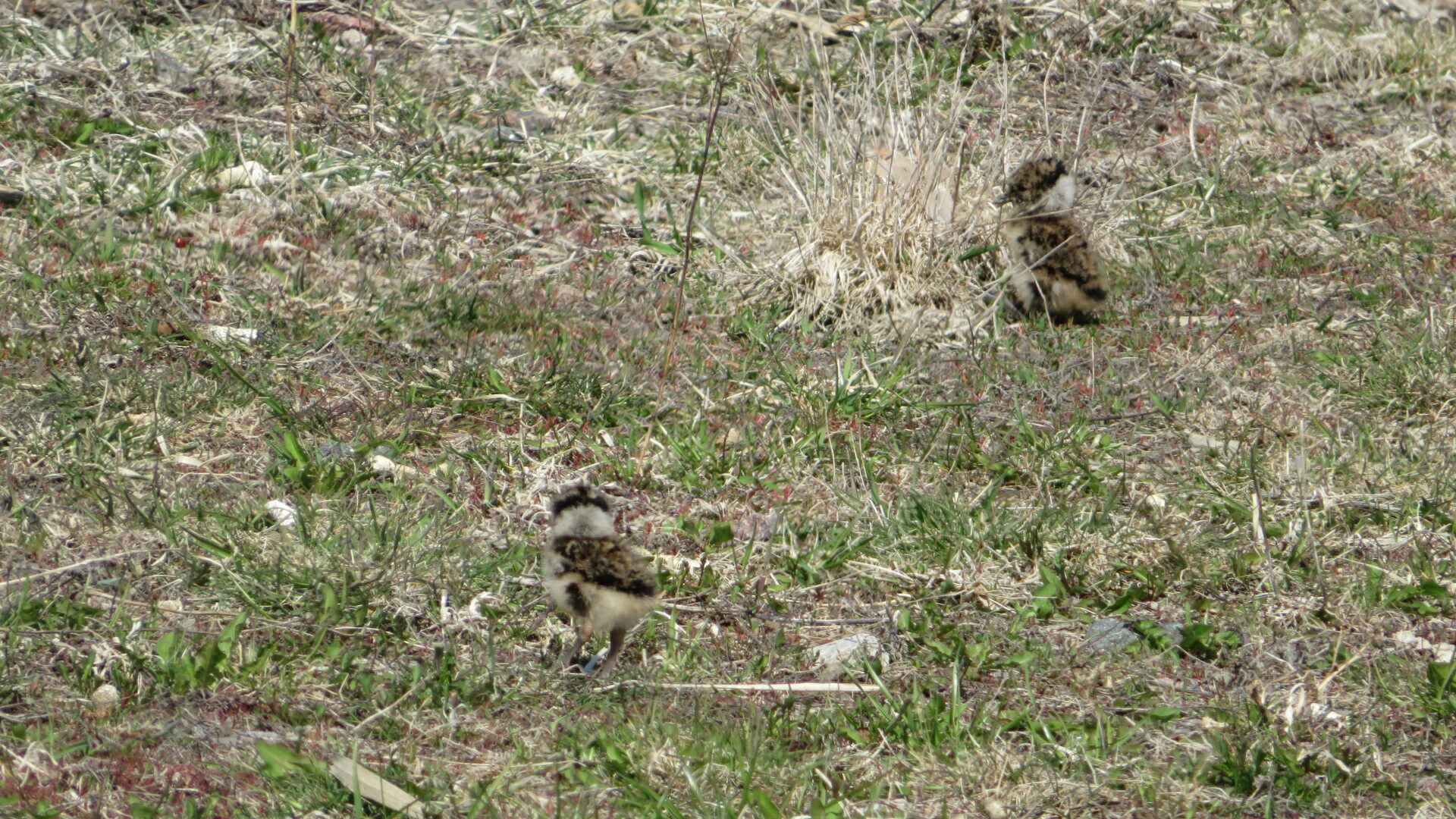 Valokuvaaja: Risto Kangassalo
