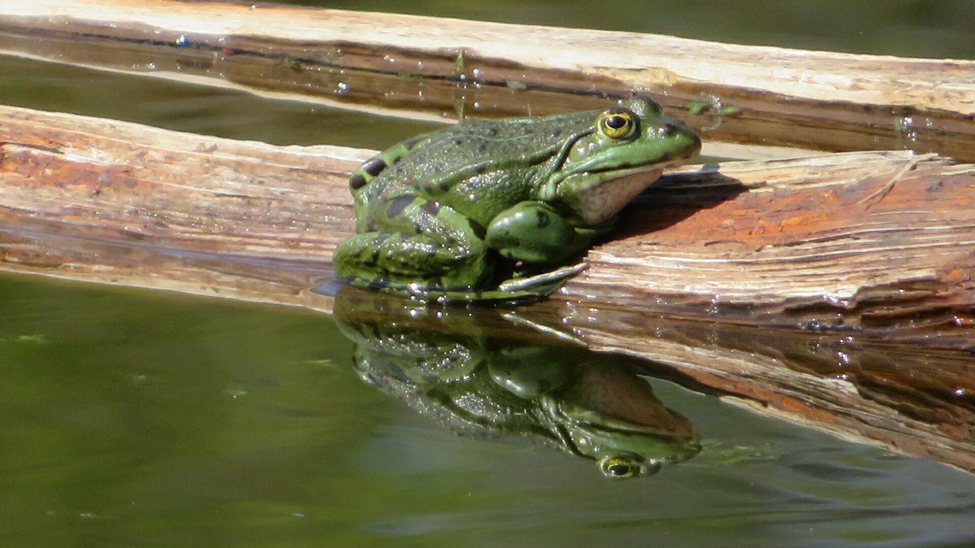 Valokuvaaja: Risto Kangassalo