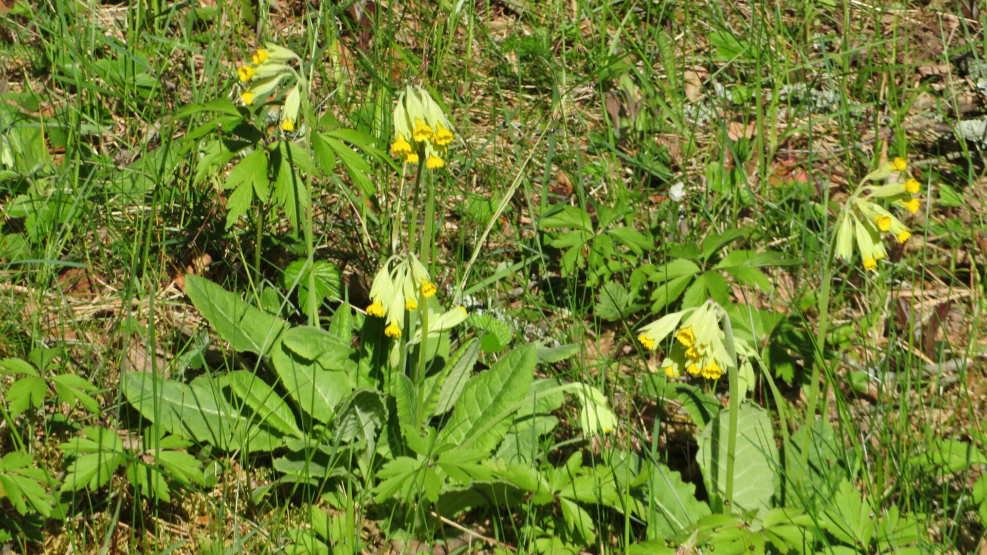 Valokuvaaja: Risto Kangassalo