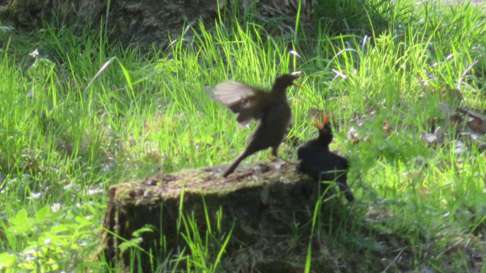 Valokuvaaja: Risto Kangassalo