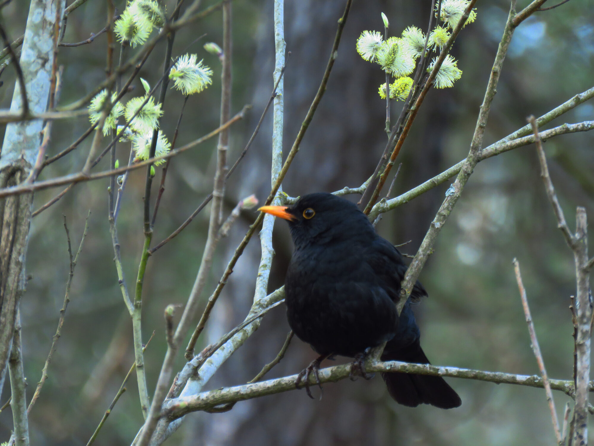 Valokuvaaja: Liisa Johansson