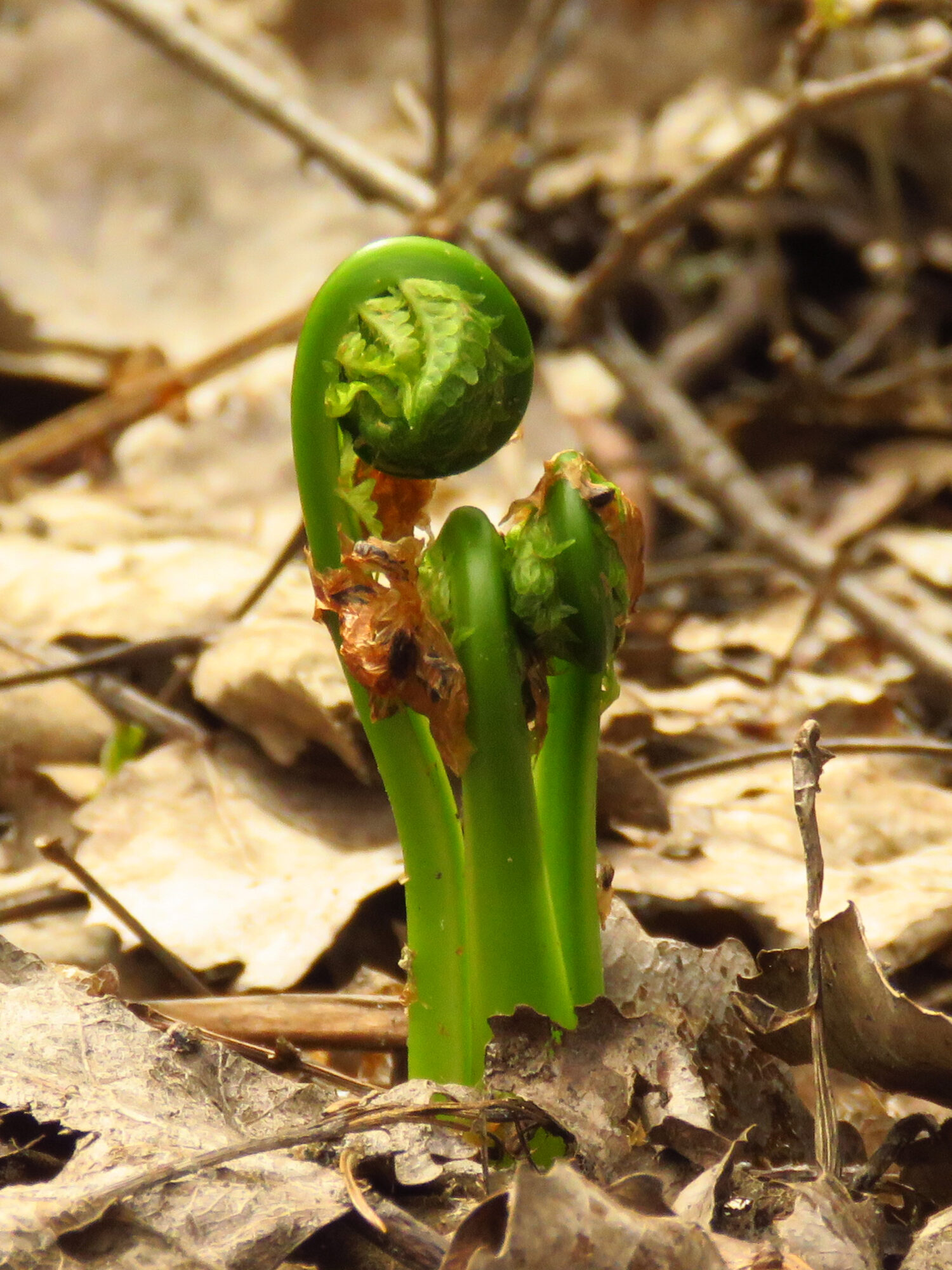 Valokuvaaja: Liisa Johansson
