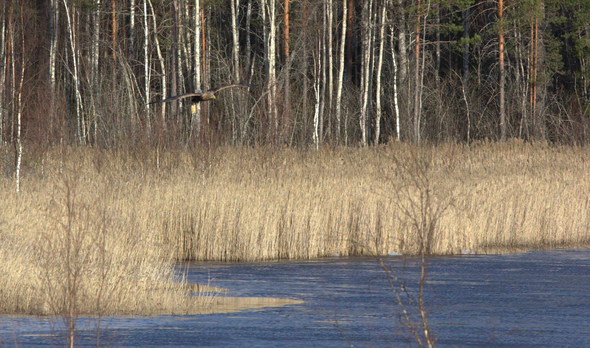 Valokuvaaja: Tapio Keinonen