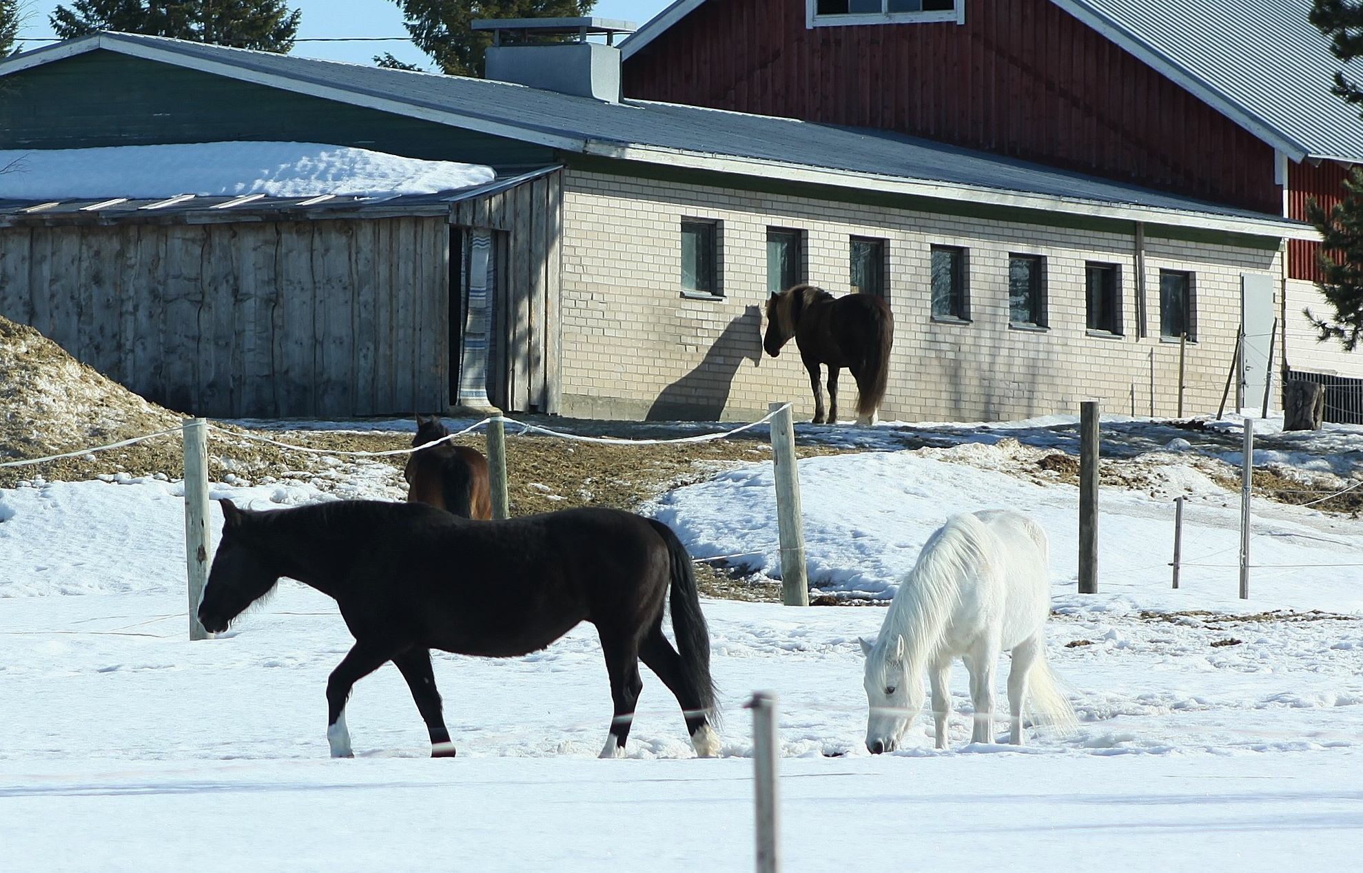 Valokuvaaja: Pirkko Siukonen