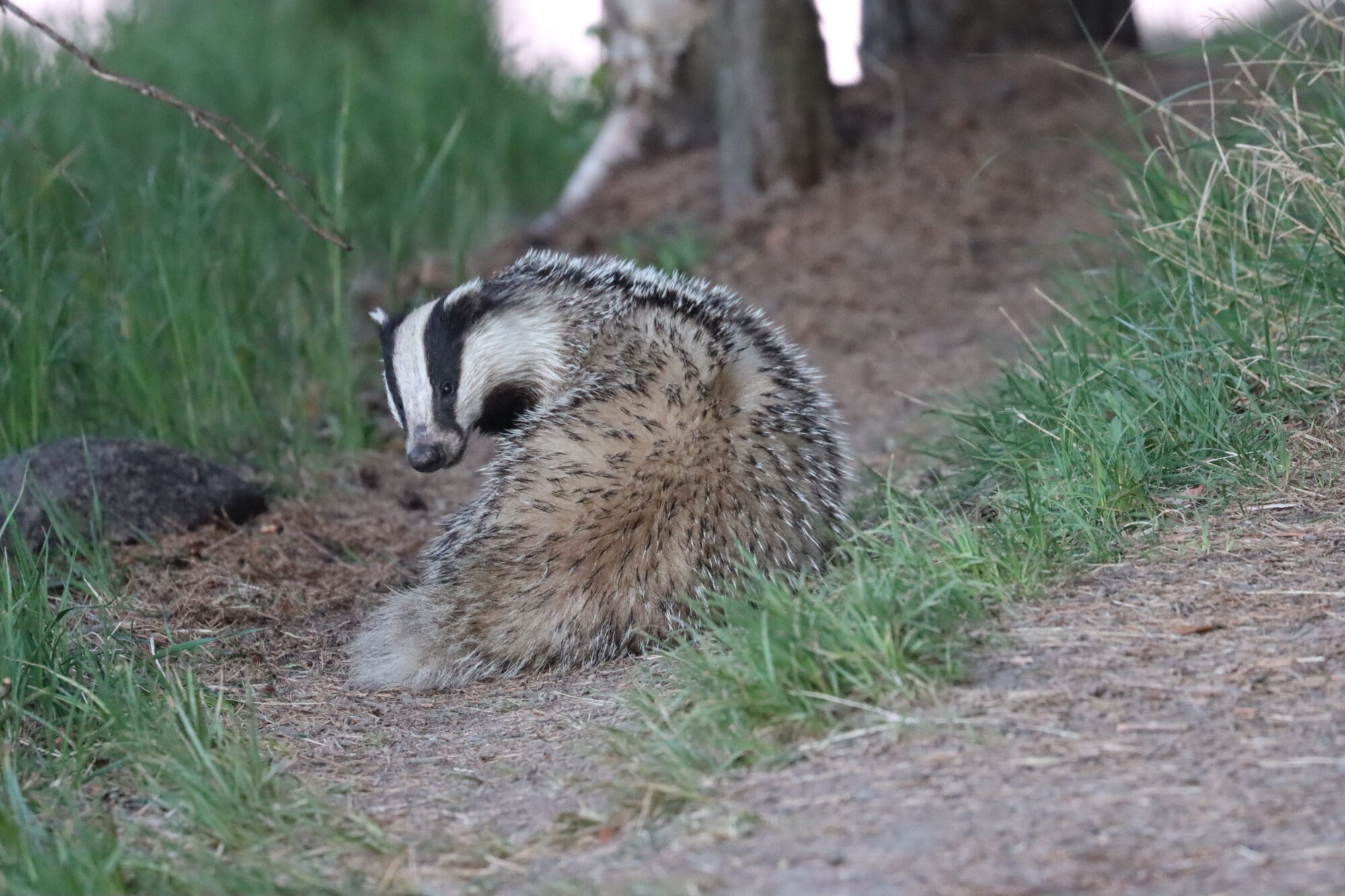 Valokuvaaja: Susanna Hannula