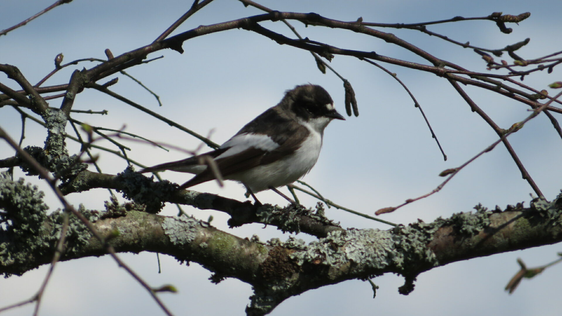 Valokuvaaja: Risto Kangassalo