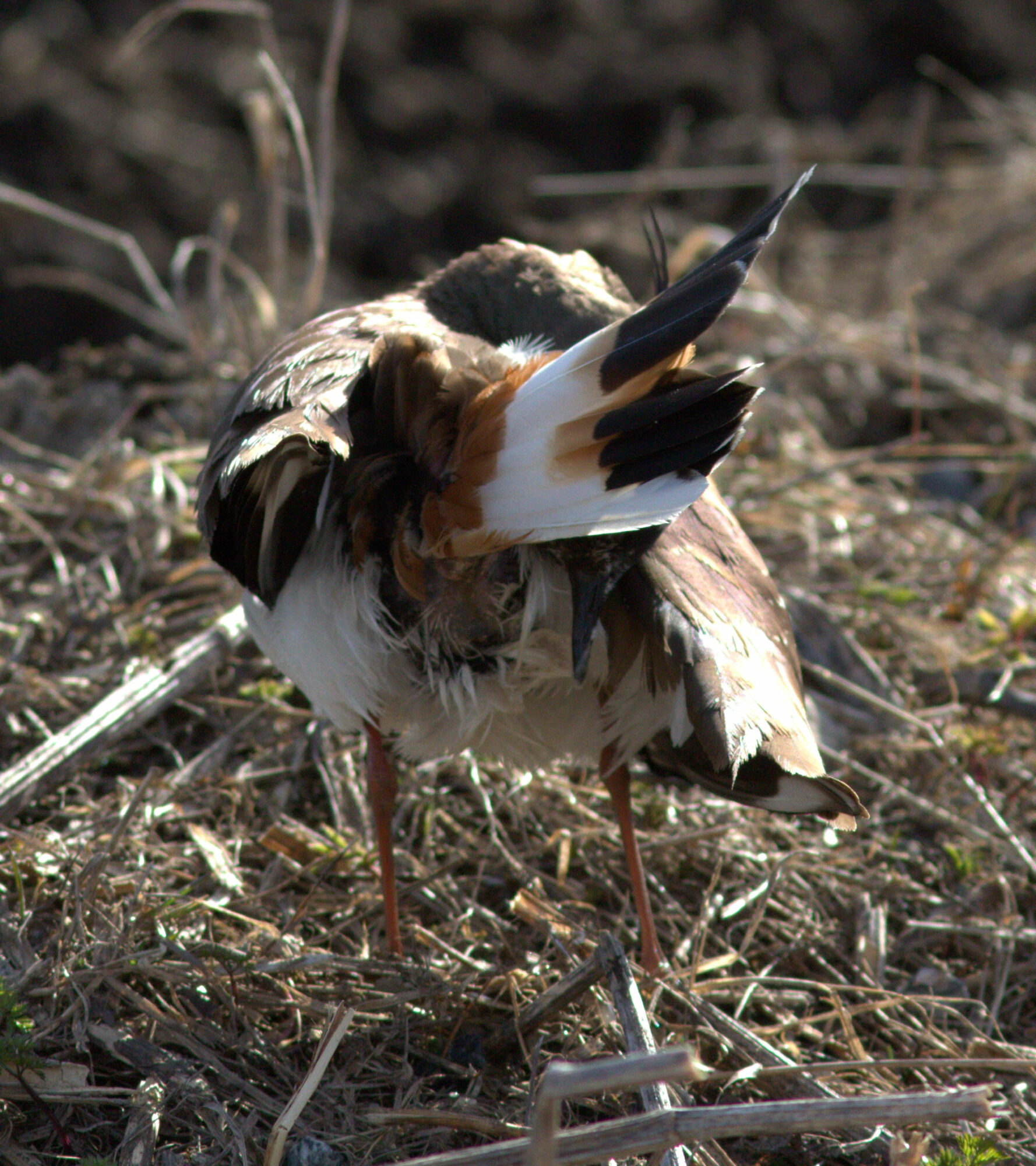 Valokuvaaja: Tapio Keinonen Valokuvaaja: Tapio Keinonen