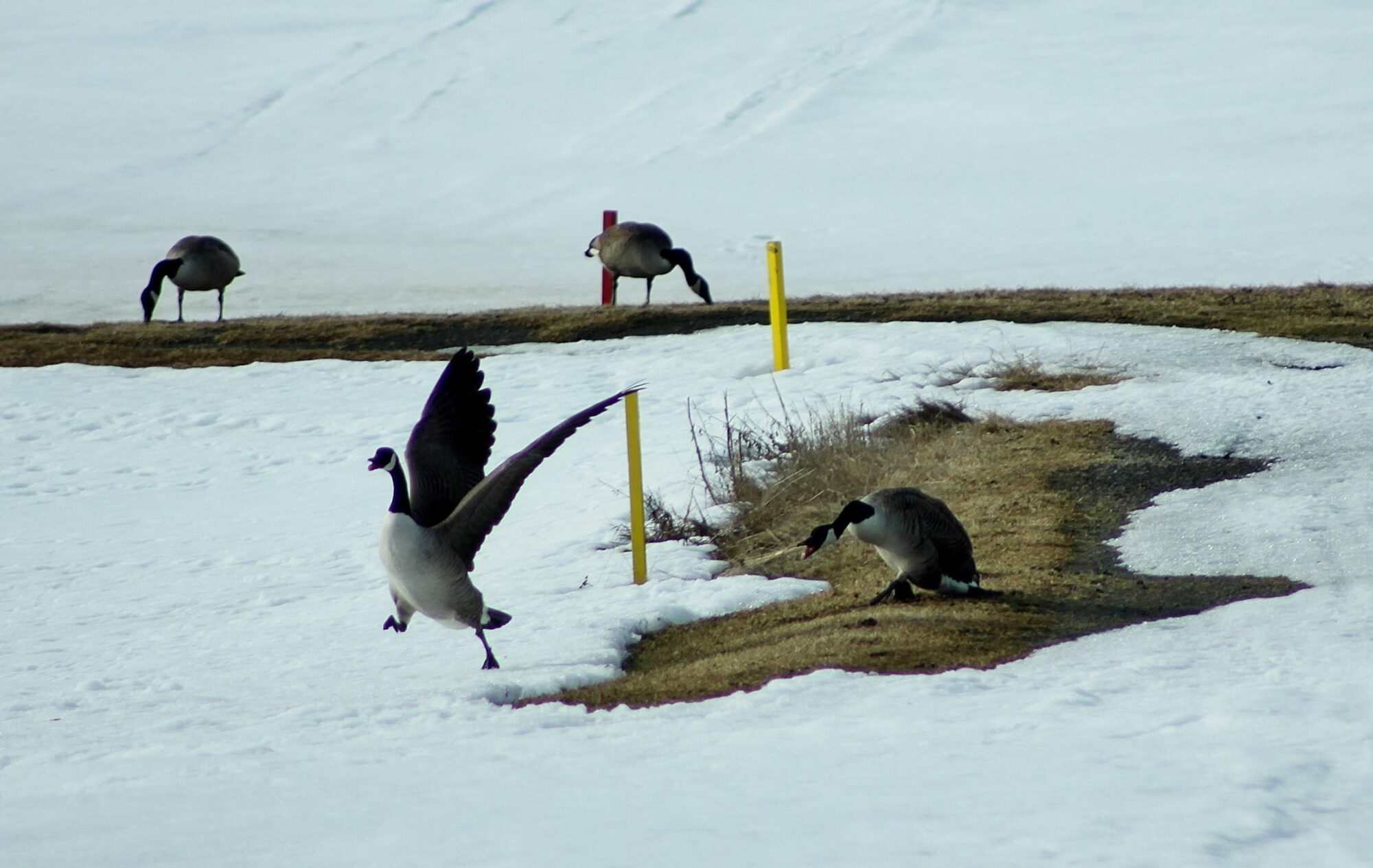 Valokuvaaja: Pirkko Siukonen