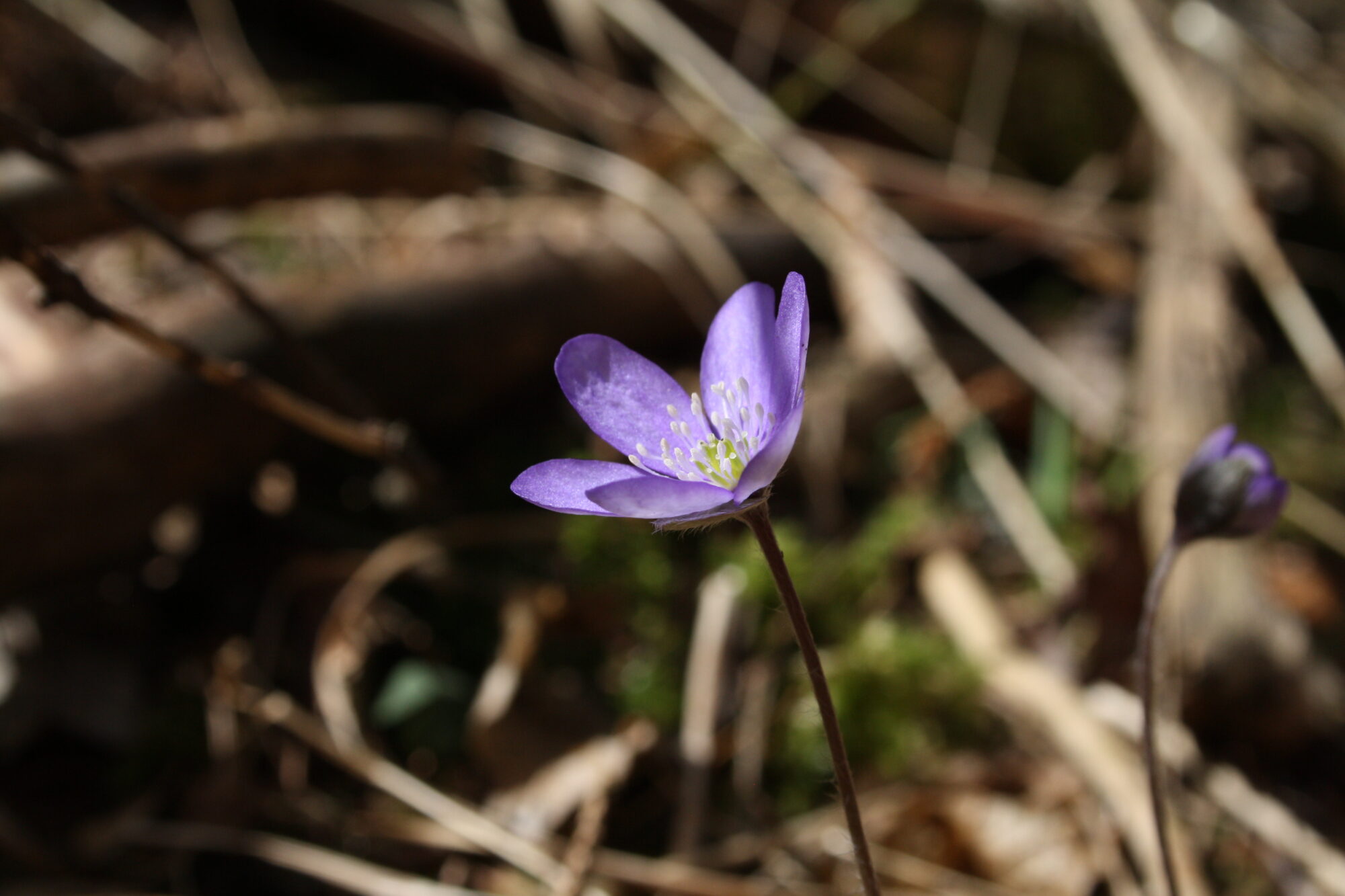 Valokuvaaja: Elli Koivisto