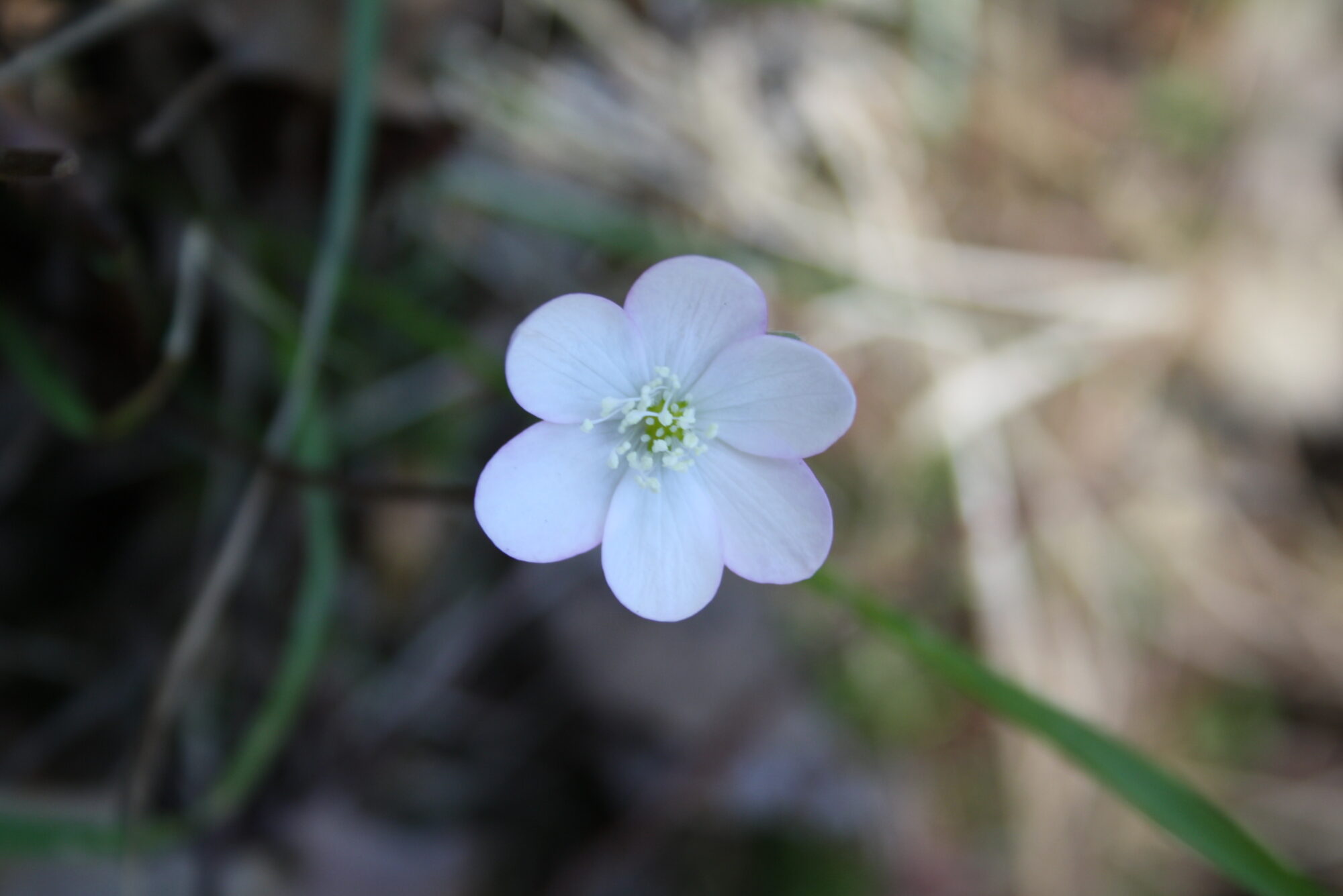 Valokuvaaja: Elli Koivisto
