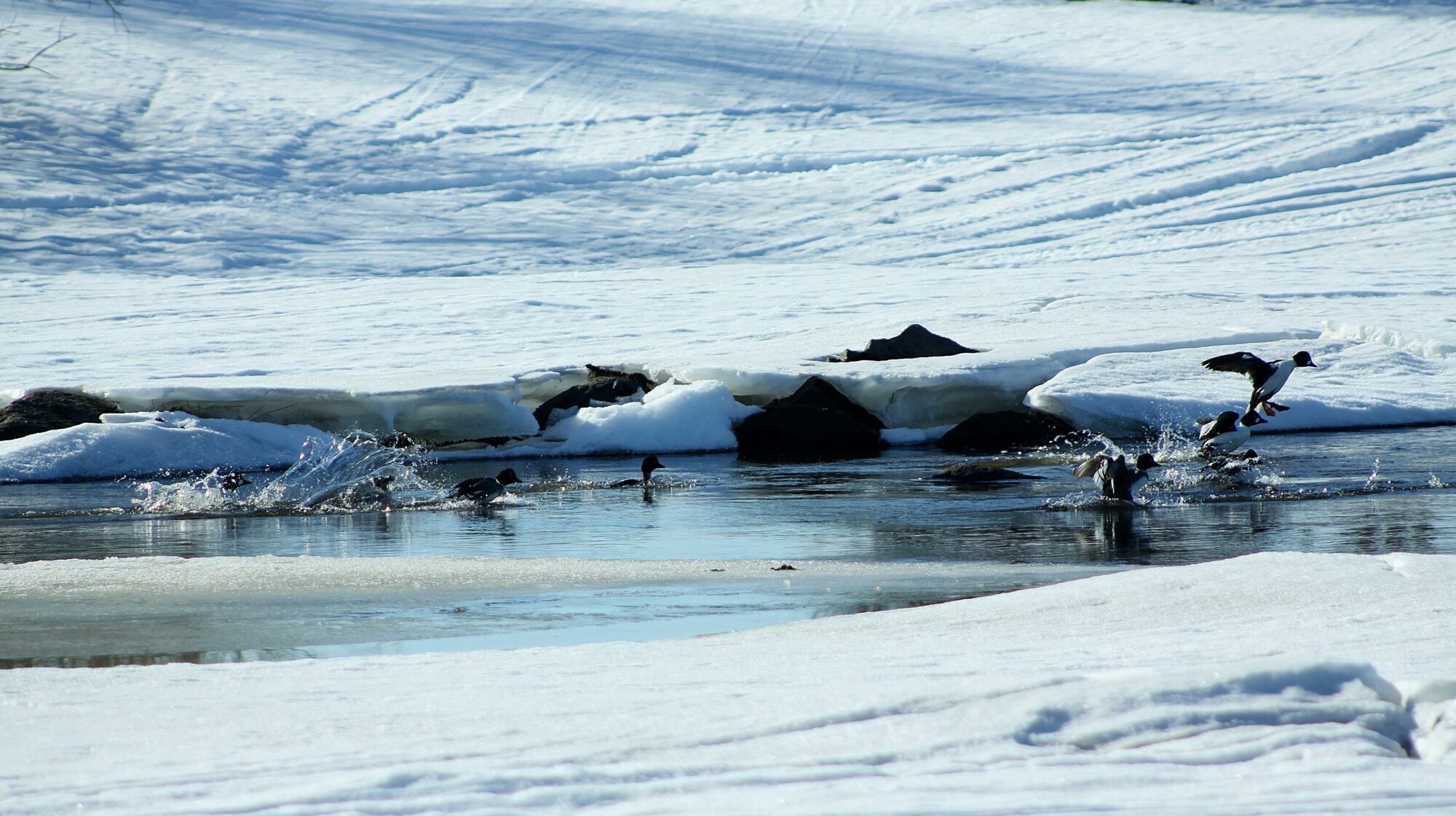 Valokuvaaja: Pirkko Siukonen