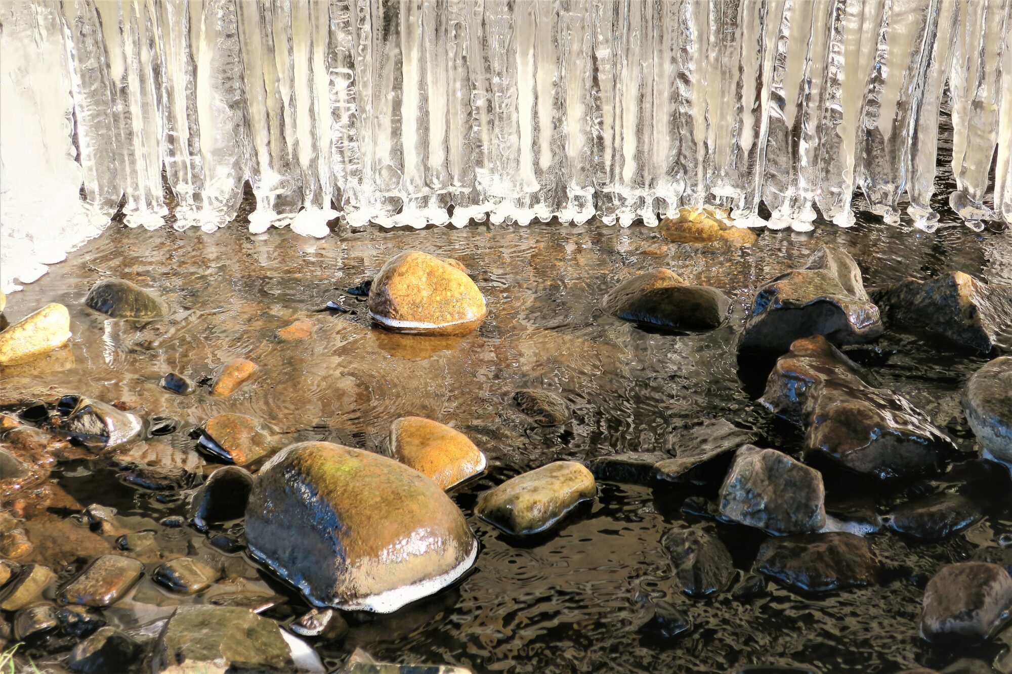 Valokuvaaja: Arto Alasuutari