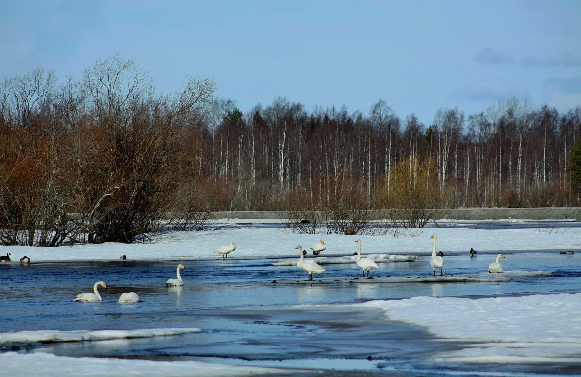 Valokuvaaja: Pirkko Siukonen