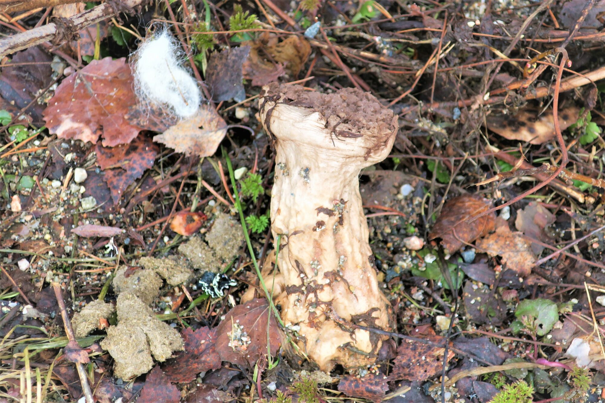 Valokuvaaja: Arto Alasuutari