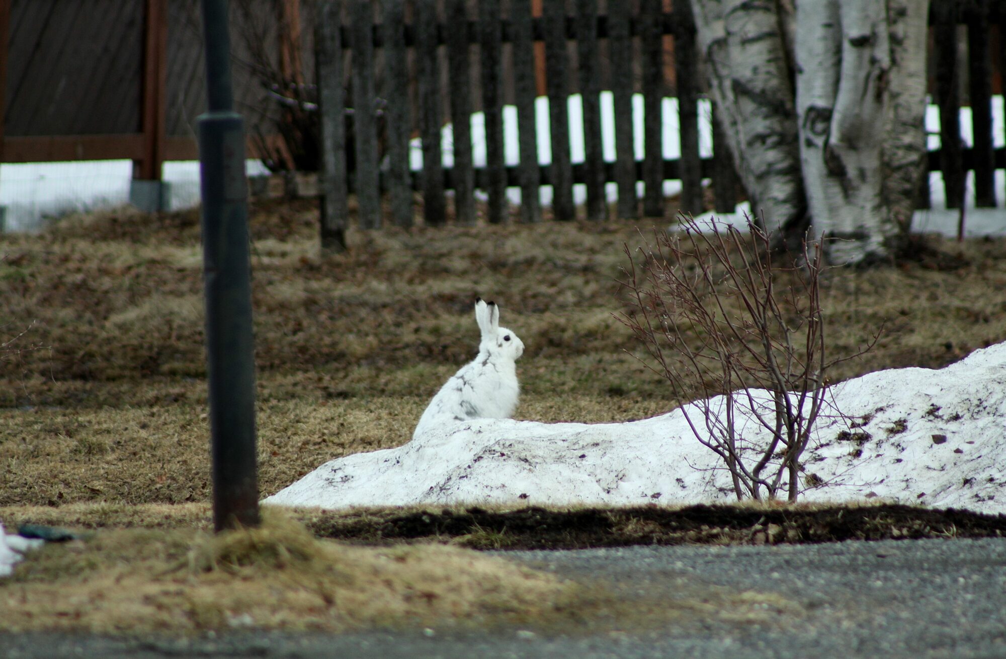 Valokuvaaja: Pirkko Siukonen
