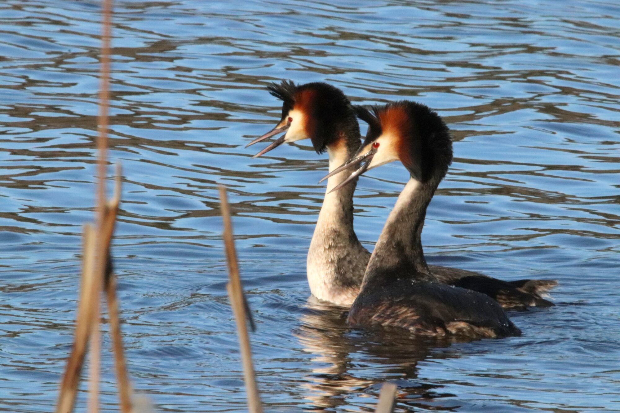 Valokuvaaja: Irja Lehtinen