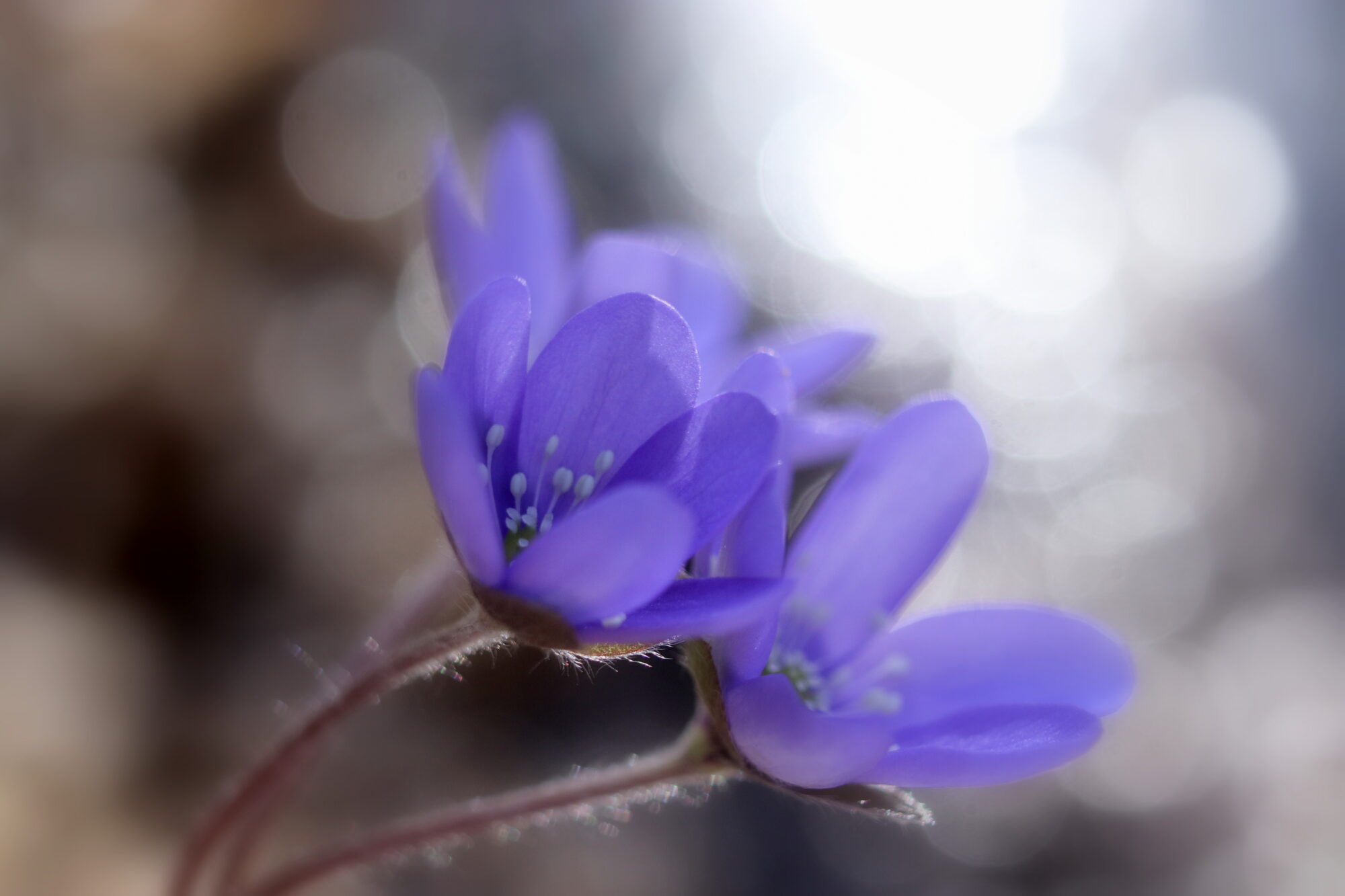 Valokuvaaja: Irja Lehtinen