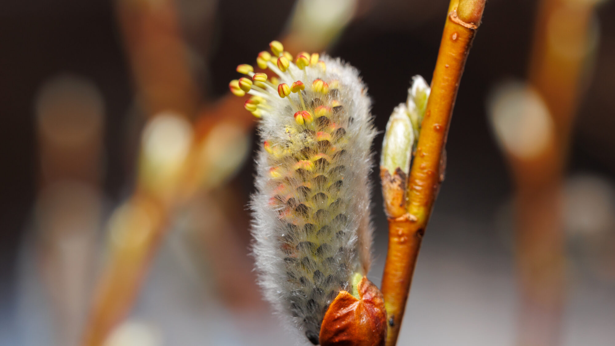 Valokuvaaja: Tommi Kujala