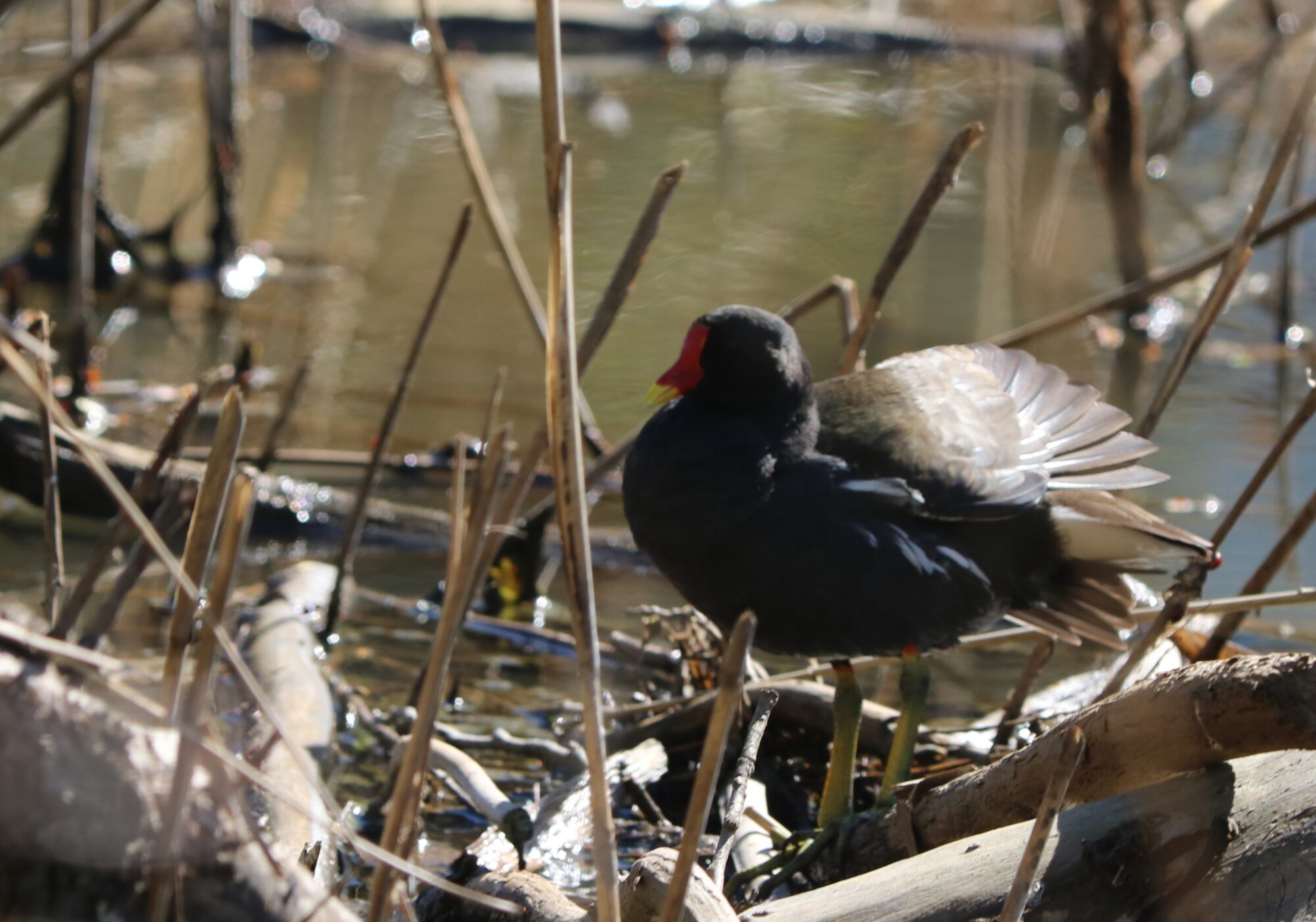 Valokuvaaja: Sirpa Haapanen