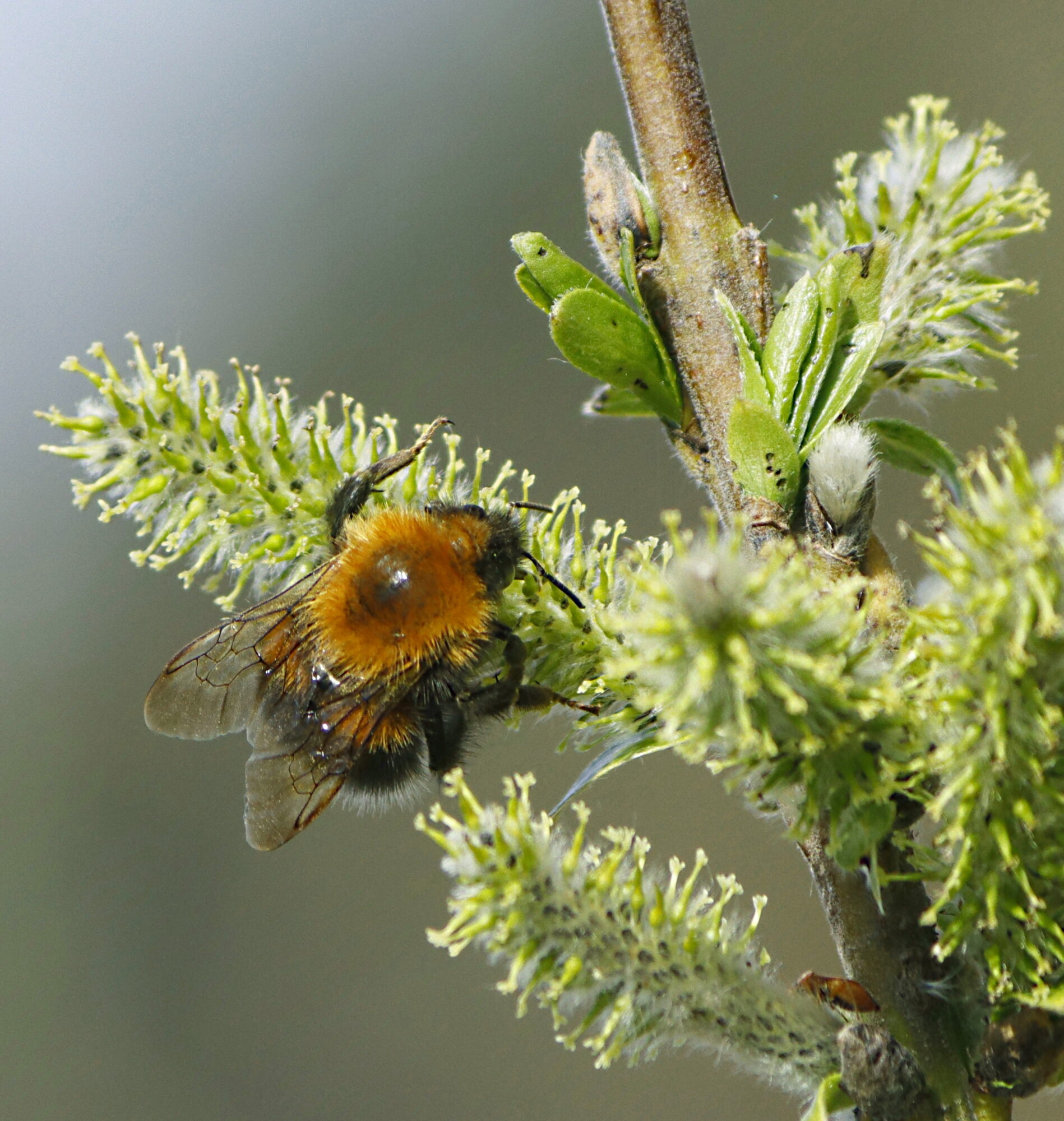 Valokuvaaja: Ritva Nieminen