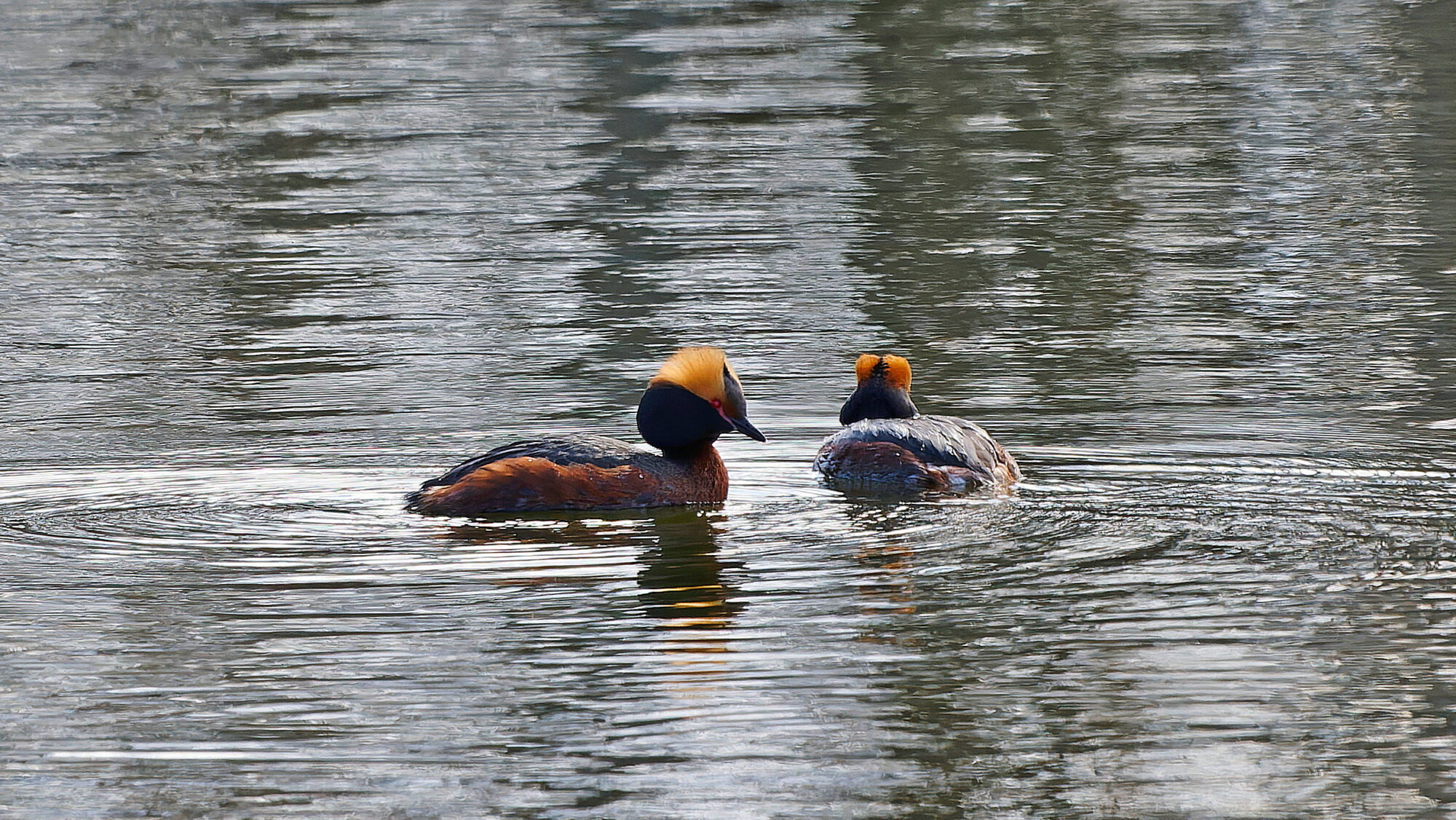 Valokuvaaja: Tommi Kujala