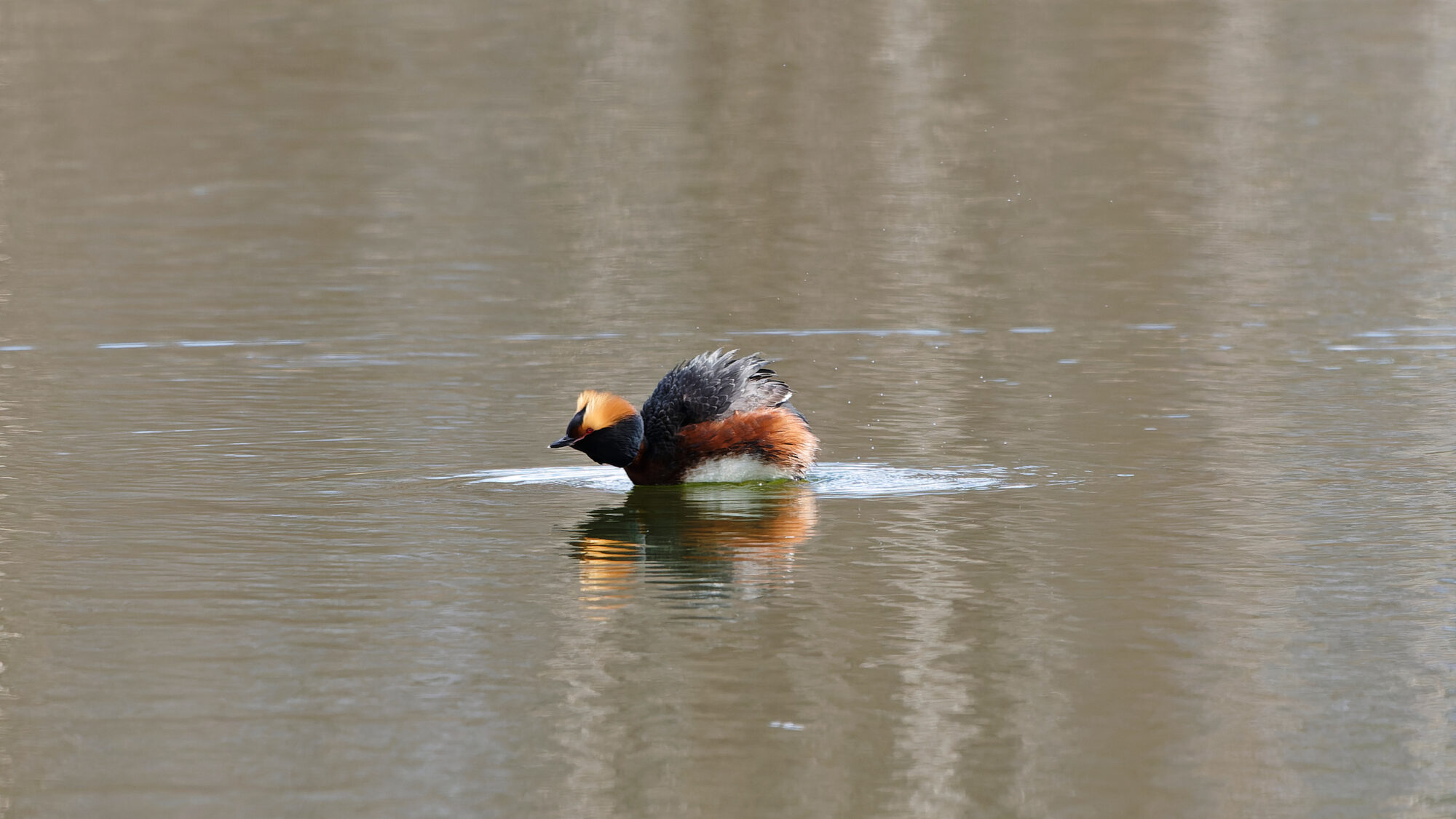 Valokuvaaja: Tommi Kujala