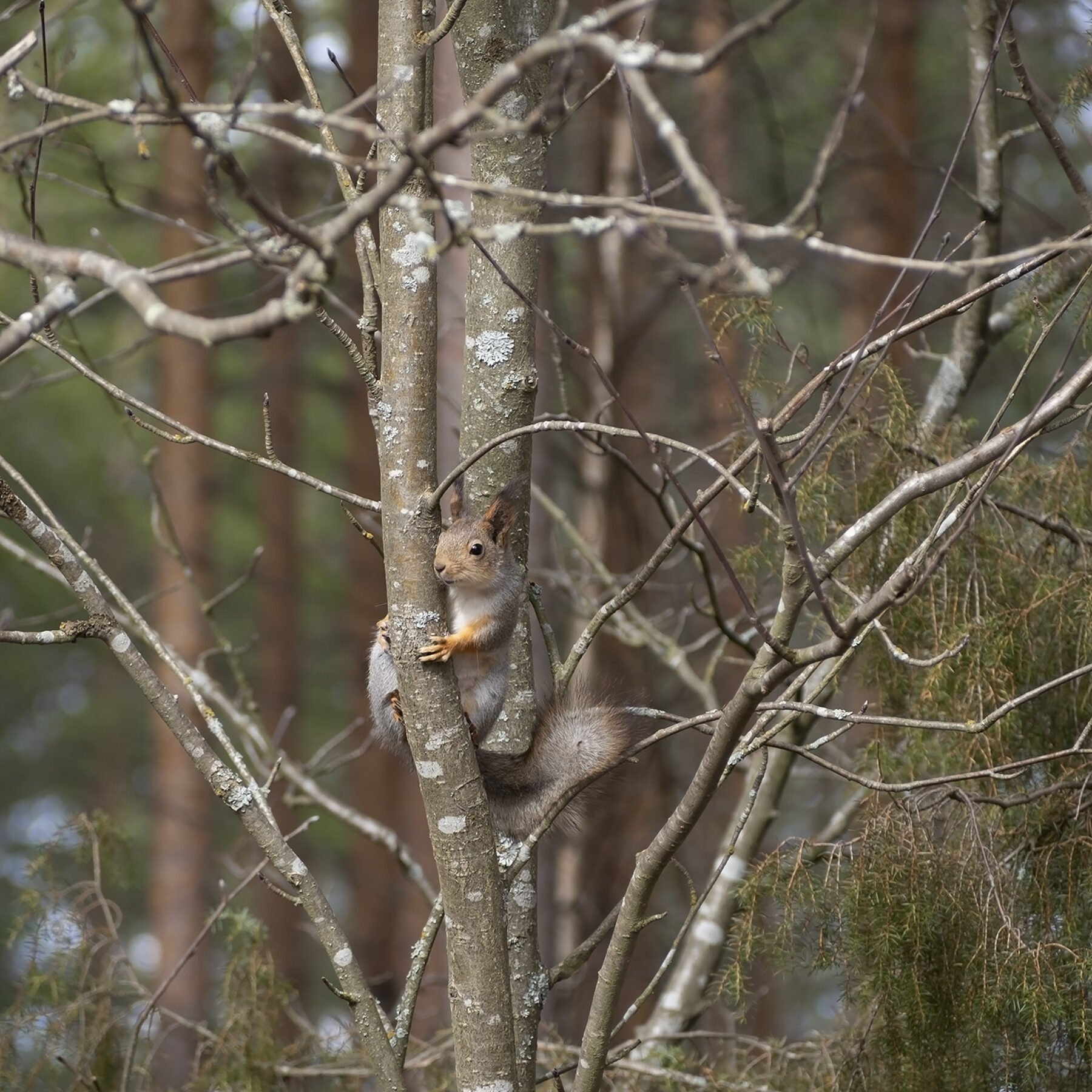 Valokuvaaja: Marja Nevalainen