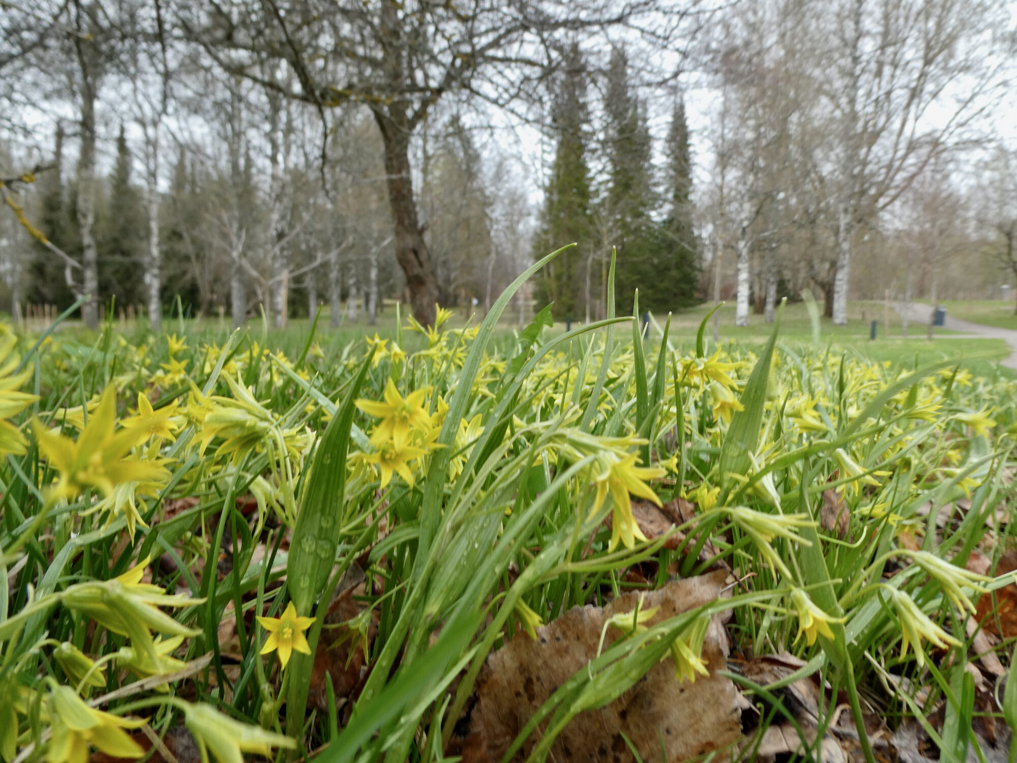 Valokuvaaja: Liisa Niiva-Korpela Valokuvaaja: Liisa Niiva-Korpela