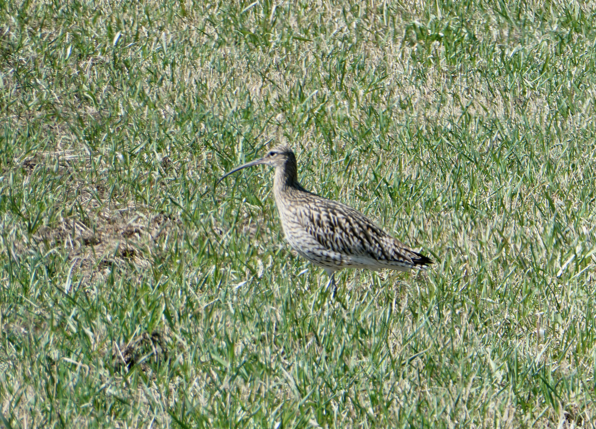 Valokuvaaja: Liisa Niiva-Korpela