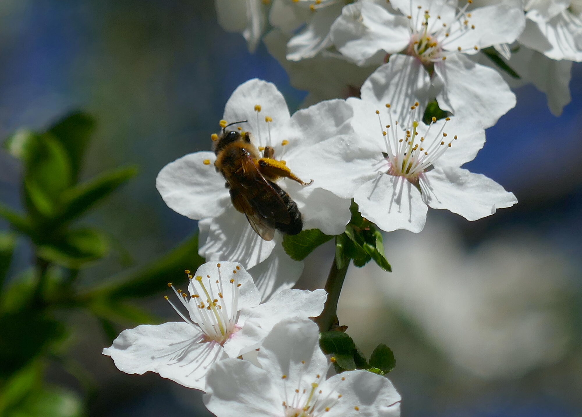 Valokuvaaja: Marjut Ikonen