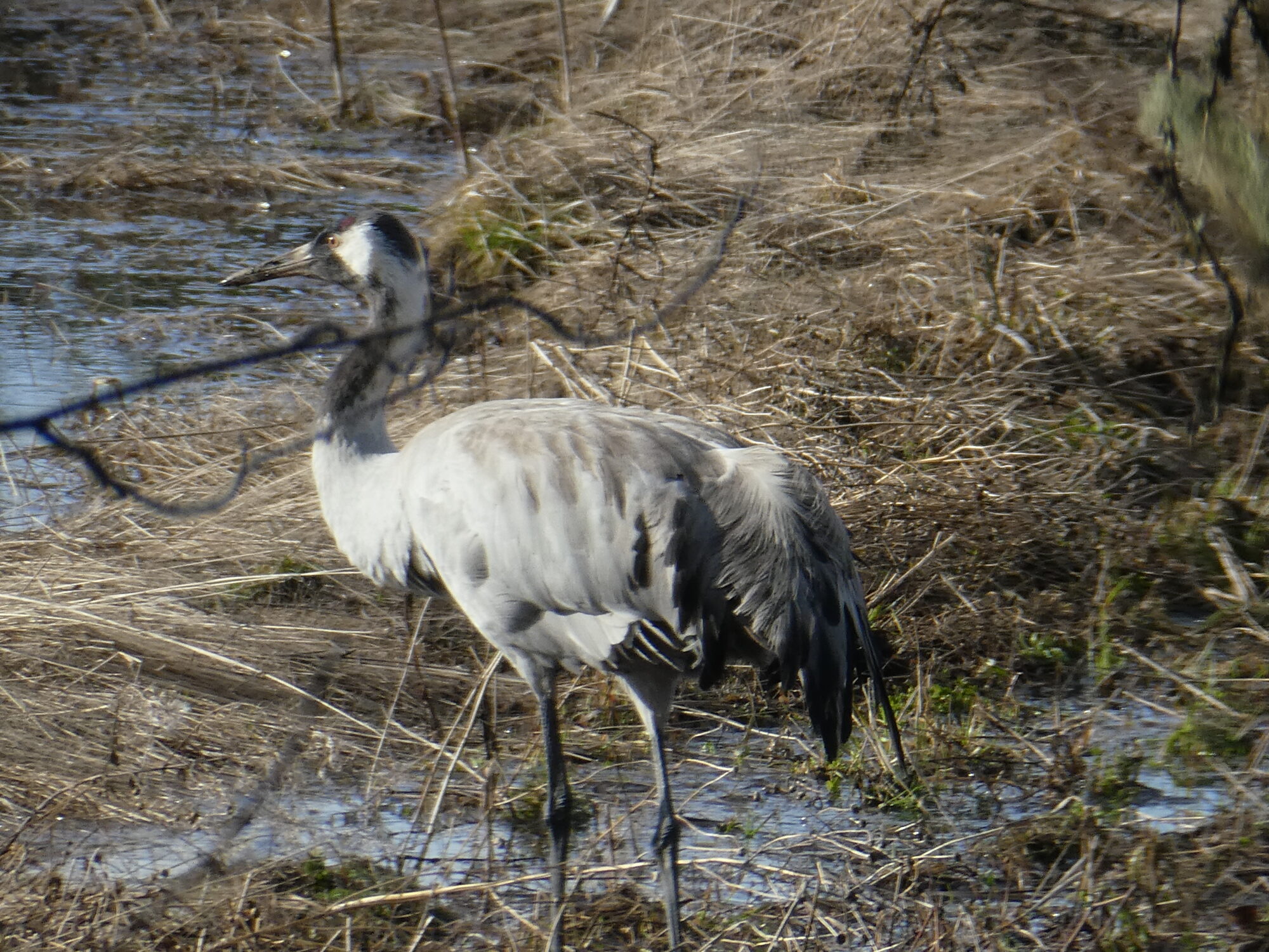 Valokuvaaja: Anja Mustamaa