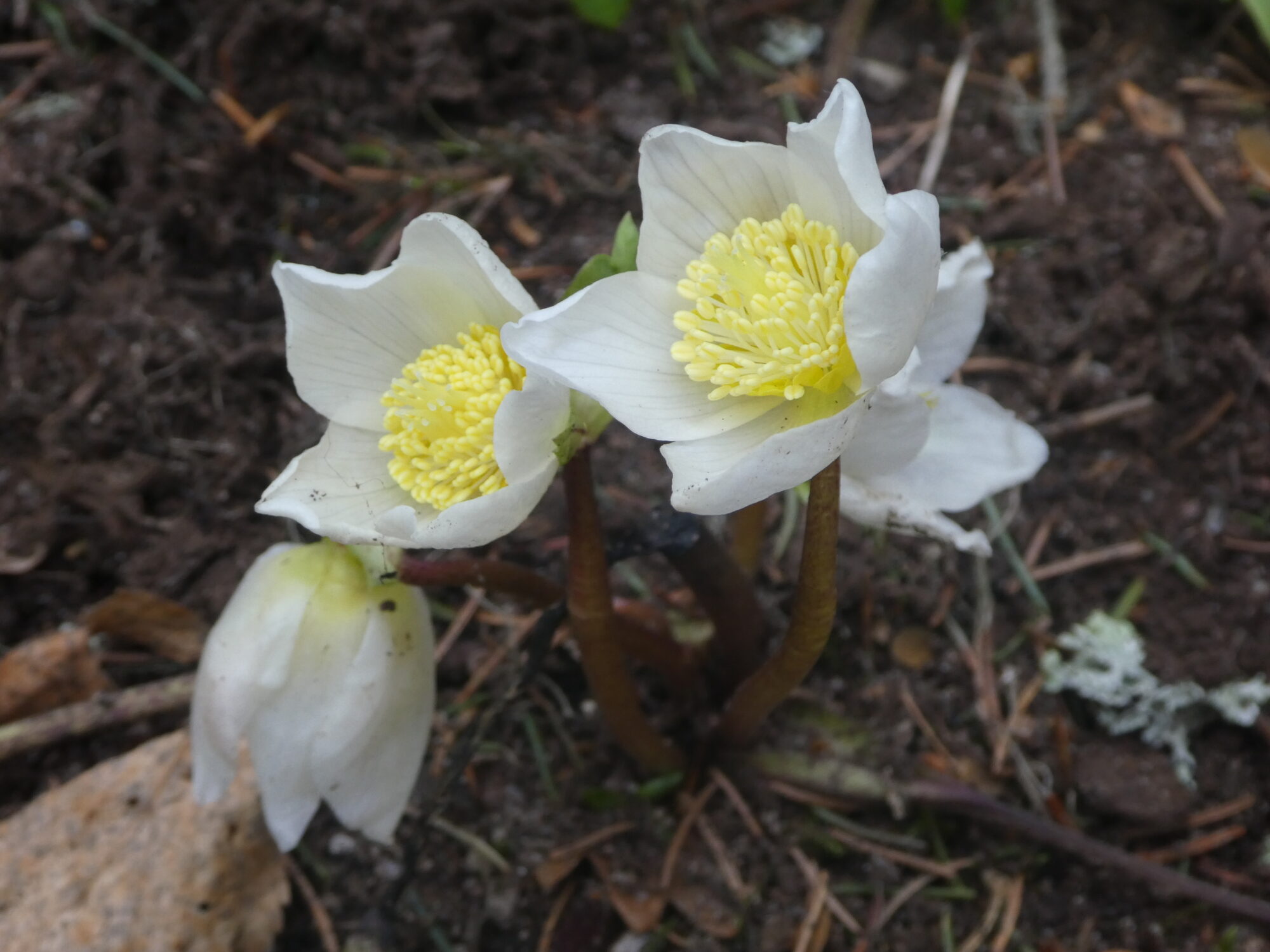 Valokuvaaja: Anja Mustamaa