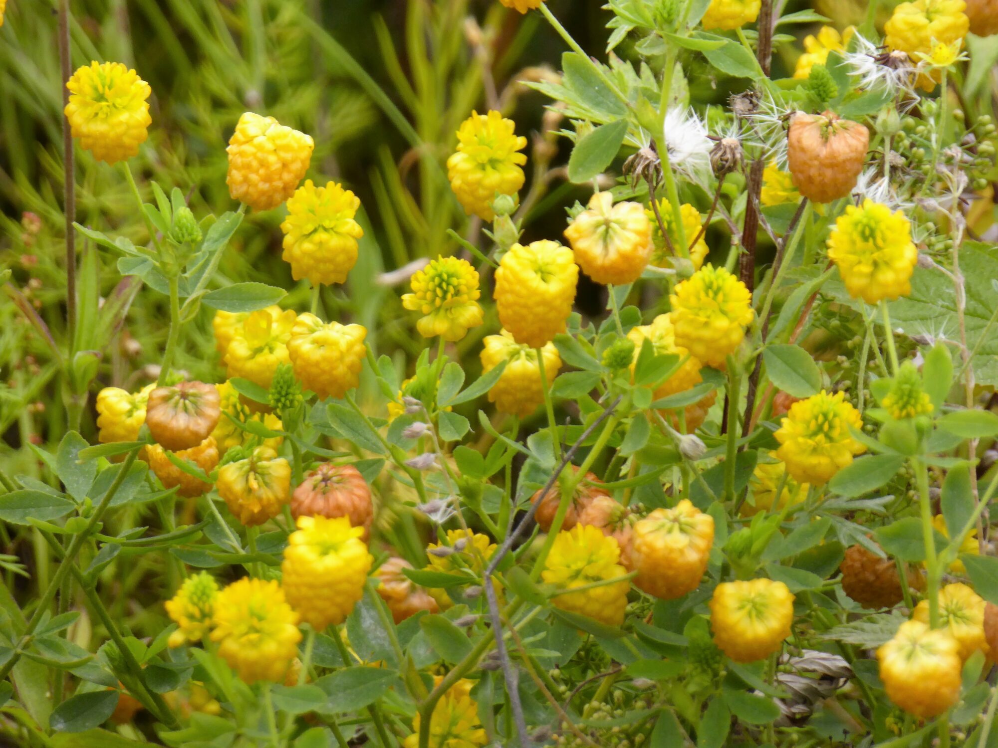 Valokuvaaja: Martti Valtonen