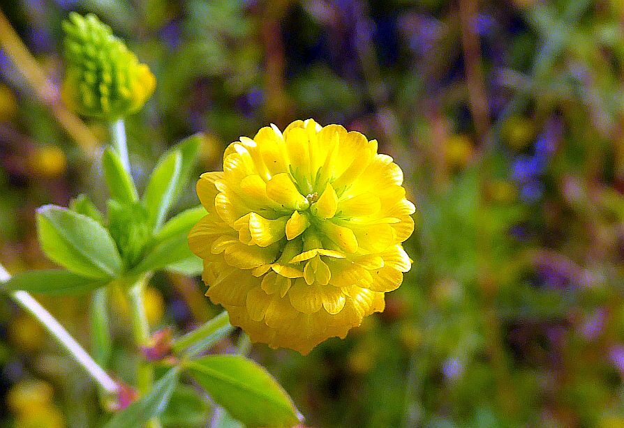 Valokuvaaja: Martti Valtonen